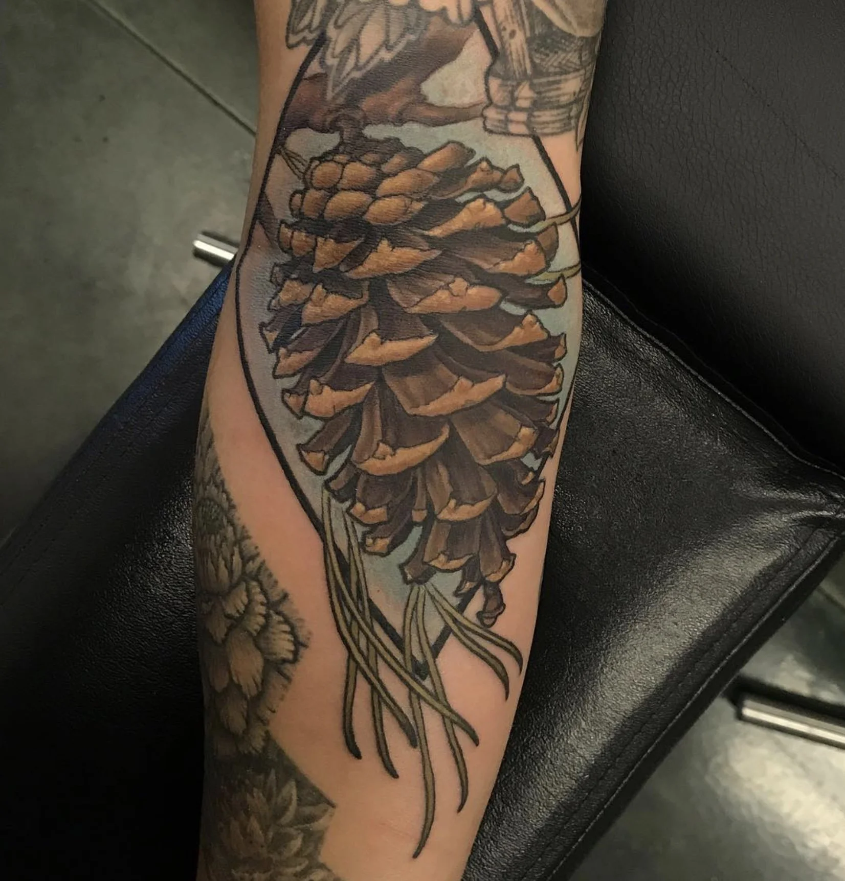 Tattoo of a pine cone with pine needles on a person's forearm.