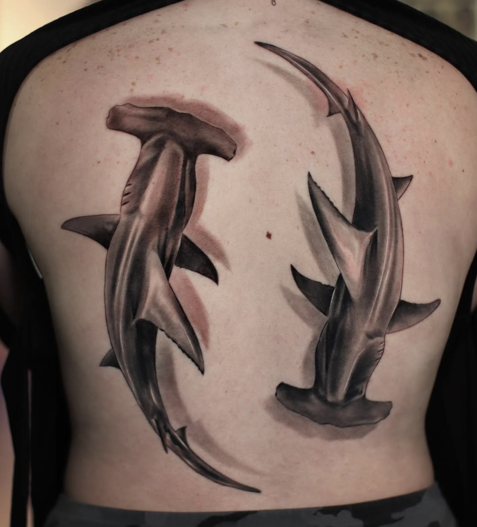 A realistic black and gray tattoo of a hammerhead shark on a person's back, with the shark swimming in a circular motion.