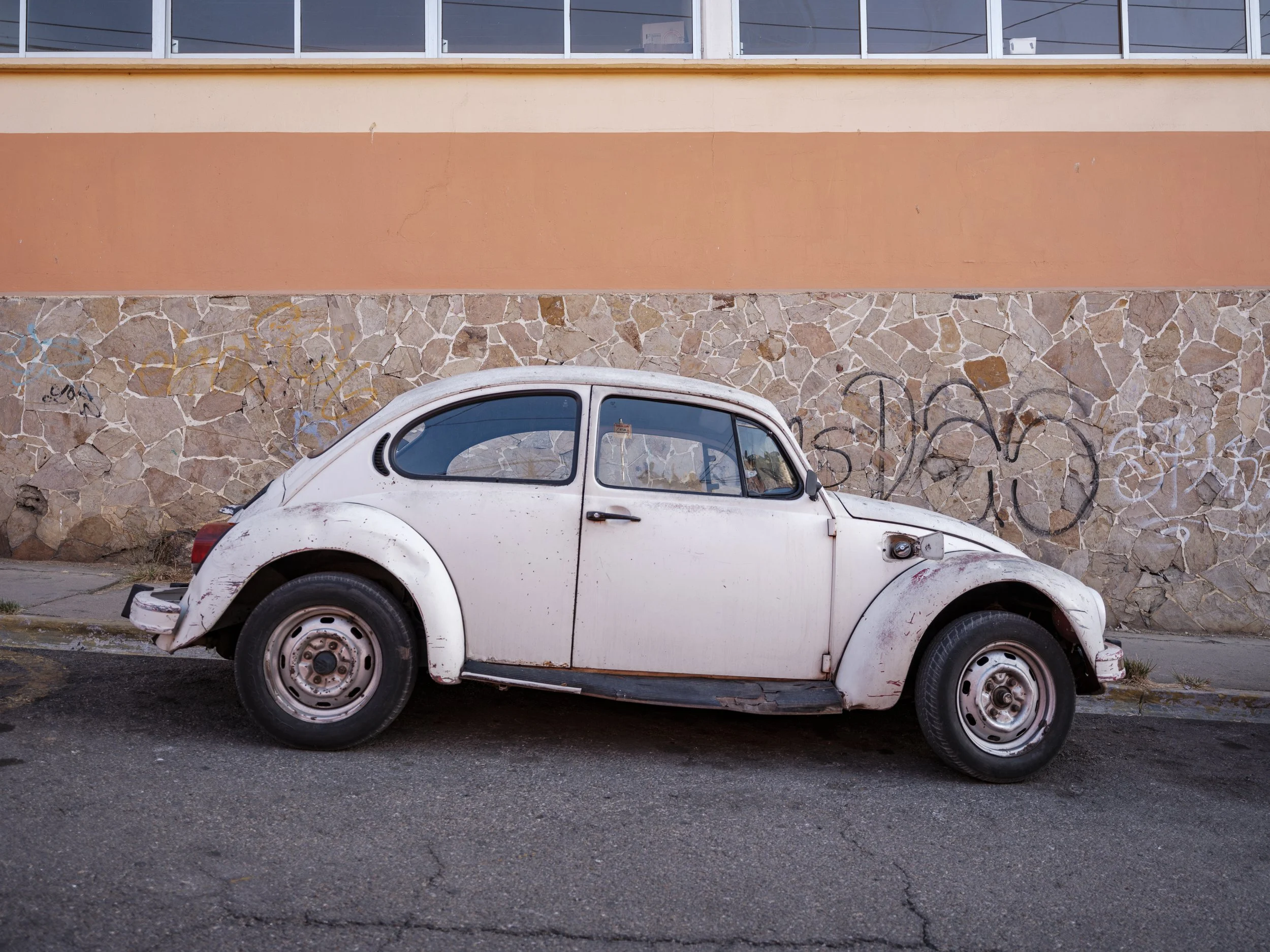 Beetle