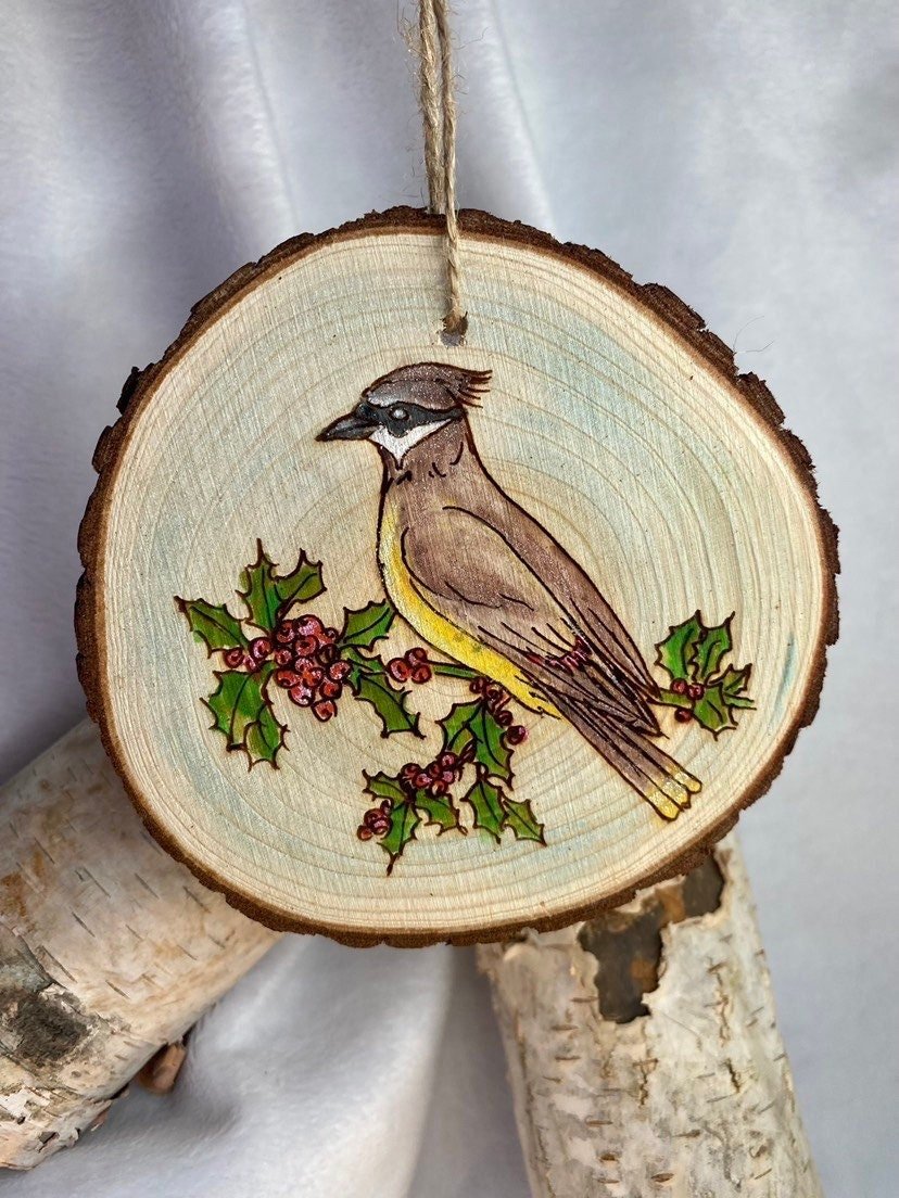 https://i.etsystatic.com/37220147/r/il/228fd2/4315406037/il_fullxfull.4315406037_ctxy.jpg