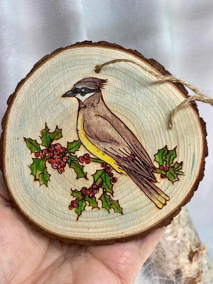 https://i.etsystatic.com/37220147/r/il/8101dd/4314256135/il_fullxfull.4314256135_dcel.jpg