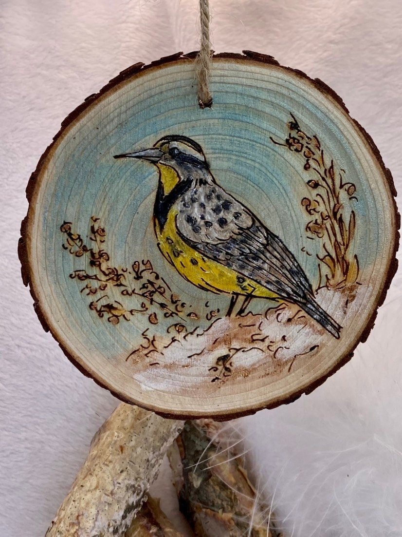 https://i.etsystatic.com/37220147/r/il/8ab40e/4222506608/il_fullxfull.4222506608_baph.jpg