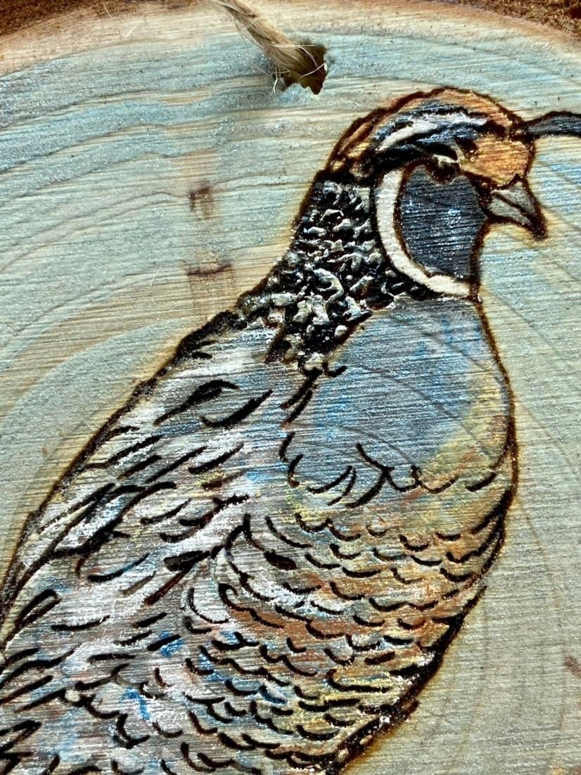 https://i.etsystatic.com/37220147/r/il/ca3ad4/4219437044/il_fullxfull.4219437044_mcof.jpg