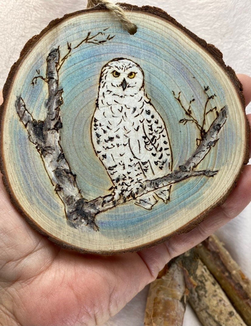 https://i.etsystatic.com/37220147/r/il/5d0fd3/4267077725/il_fullxfull.4267077725_oeyy.jpg