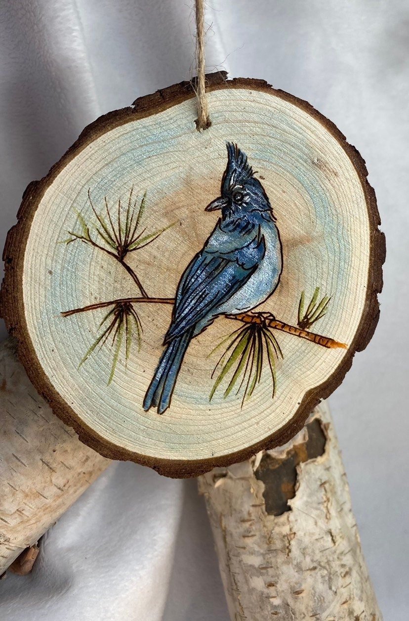 https://i.etsystatic.com/37220147/r/il/55f1e6/4268017904/il_fullxfull.4268017904_9a0a.jpg