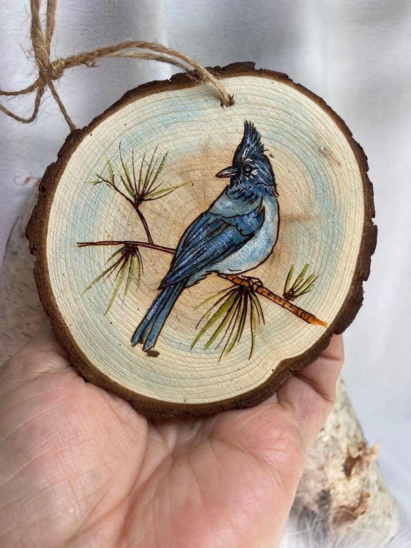 https://i.etsystatic.com/37220147/r/il/ef7807/4264315436/il_fullxfull.4264315436_9d9p.jpg