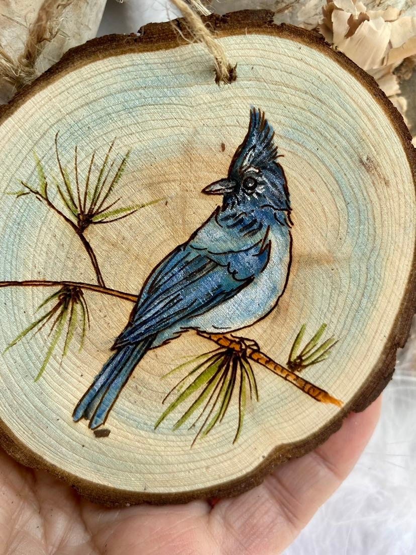 https://i.etsystatic.com/37220147/r/il/9e4f8b/4264317668/il_fullxfull.4264317668_7zq3.jpg