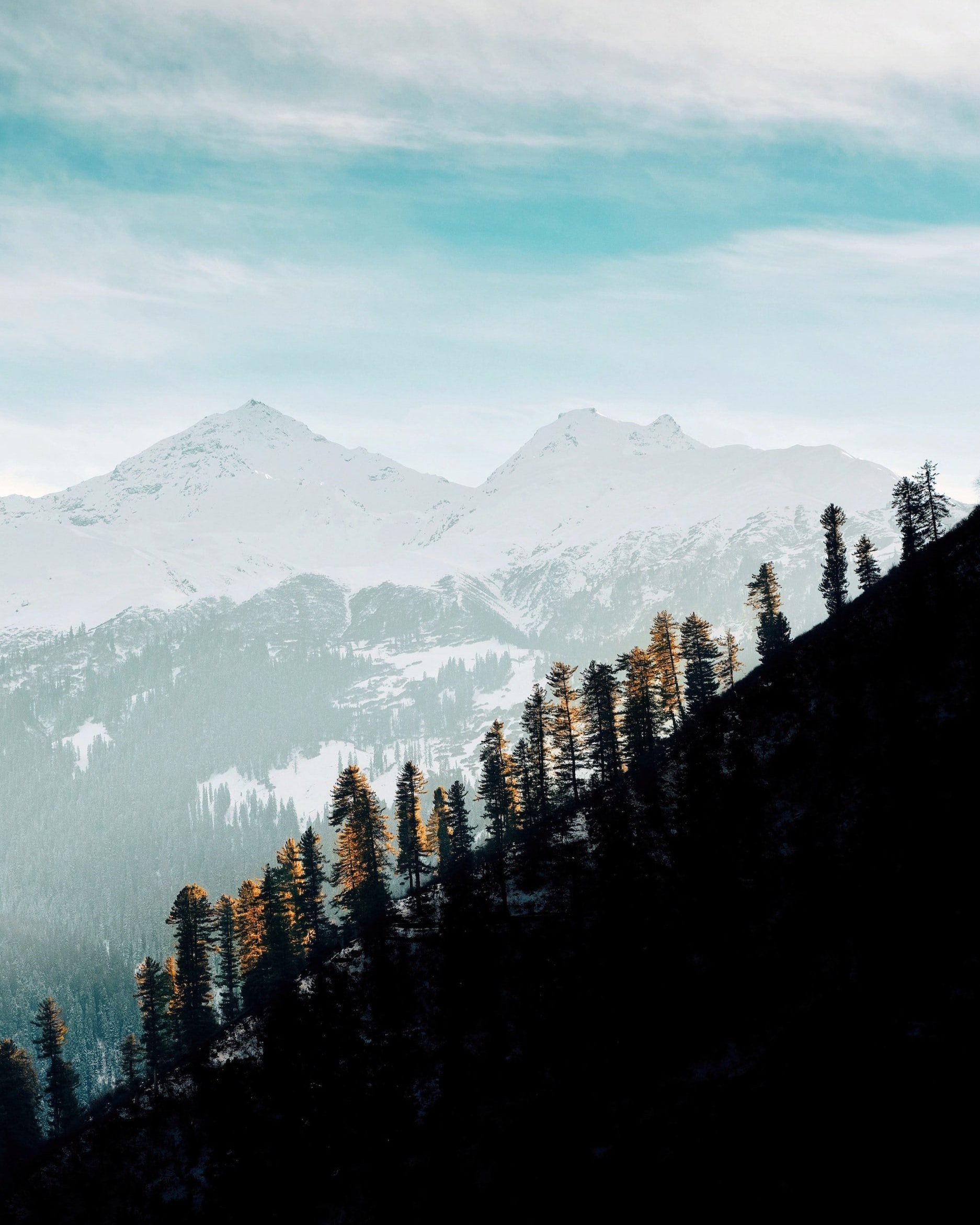 unsplash-image-Gu7of0dUPKI.jpg