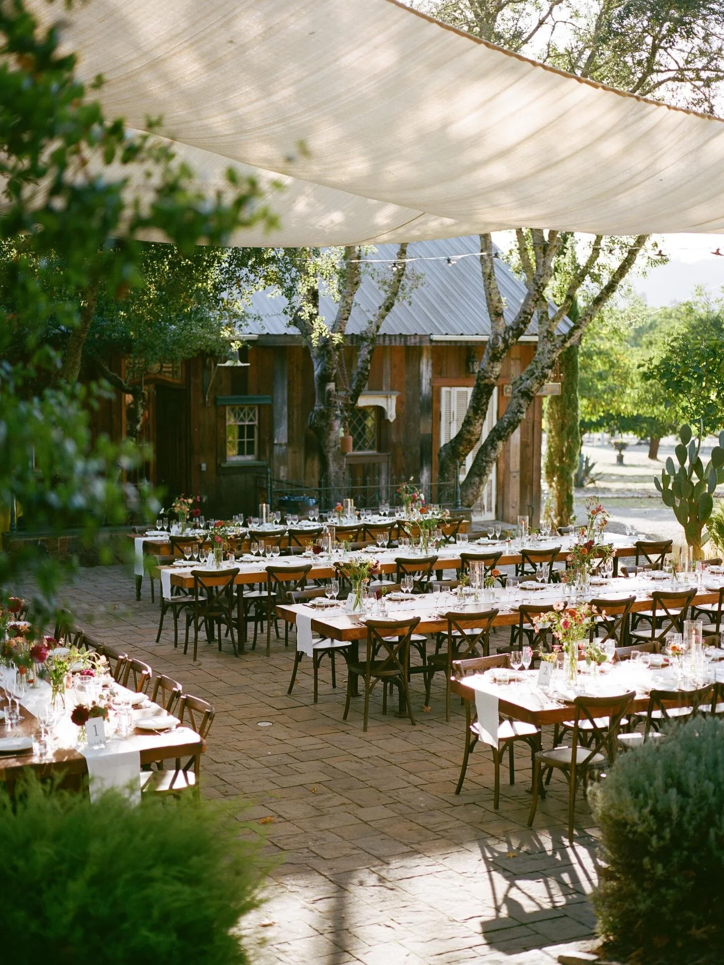 A few favorites all on film for Jasmine and Andy&rsquo;s wedding at @triplesranchnapa 
Venue: @triplesranchnapa 
Planner: @christanicoleevents 
Photography Assistant: @markthomasdillon
Caterer: @perkinscateringco 
HAMU: @devotionstudiosebastopol
