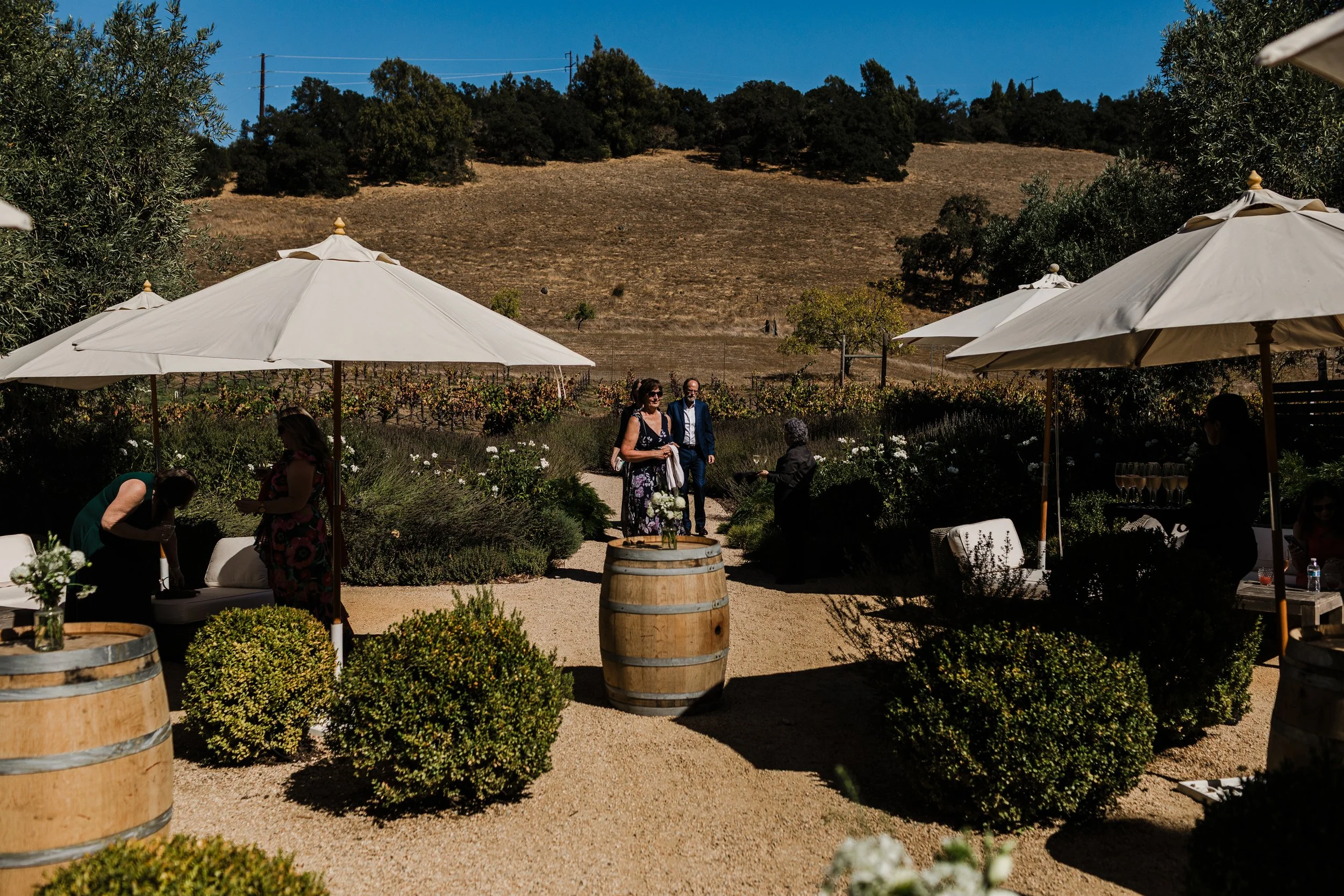 Alycia-Jasmine-Massey-San-Francisco-Wedding-Photographer-Ru's-Farm-Healdsburg-CA-19.jpg
