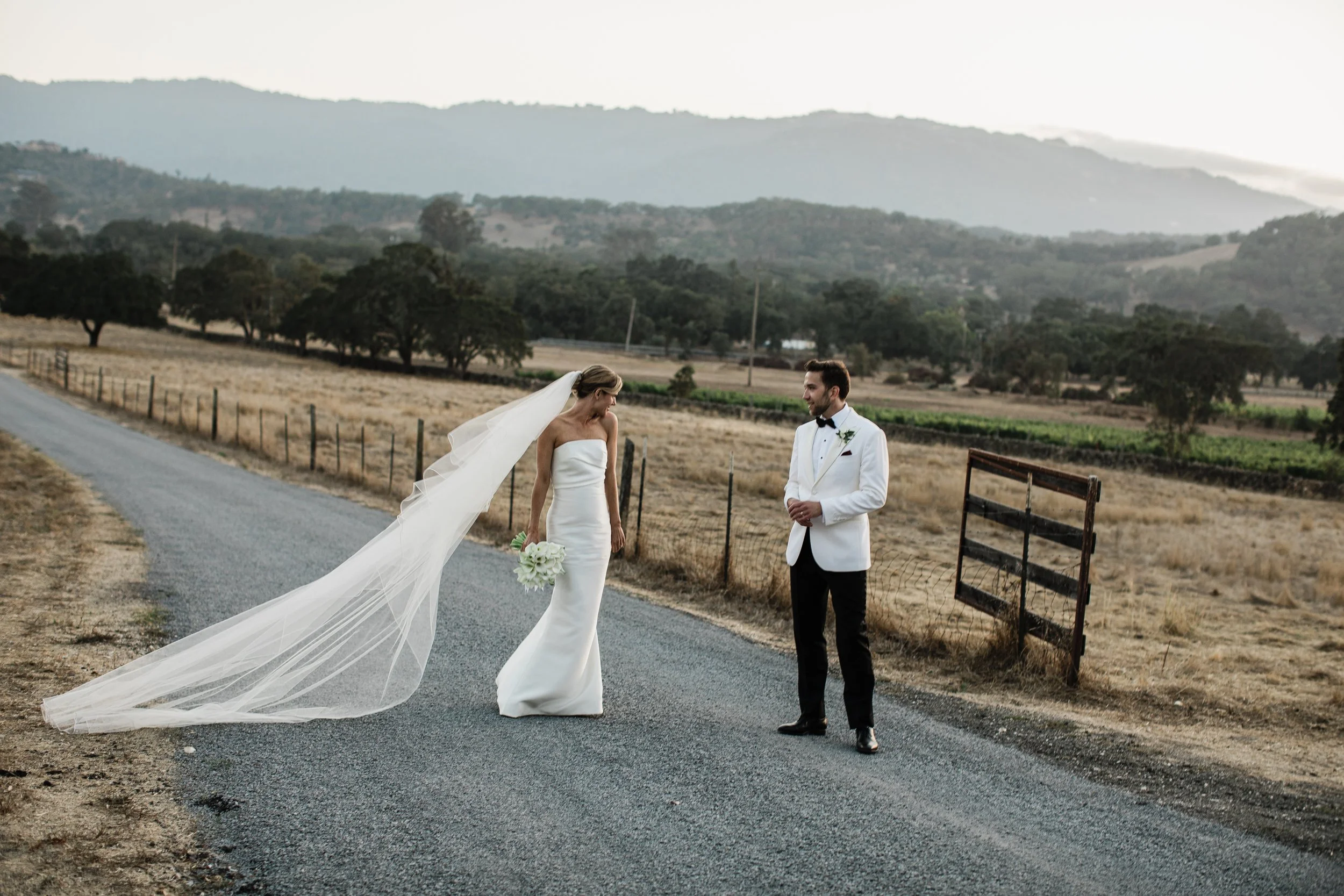 Alycia-Jasmine-Massey-San-Francisco-Wedding-Photographer-Glen-Beltaine-Ranch-CA-85.jpg