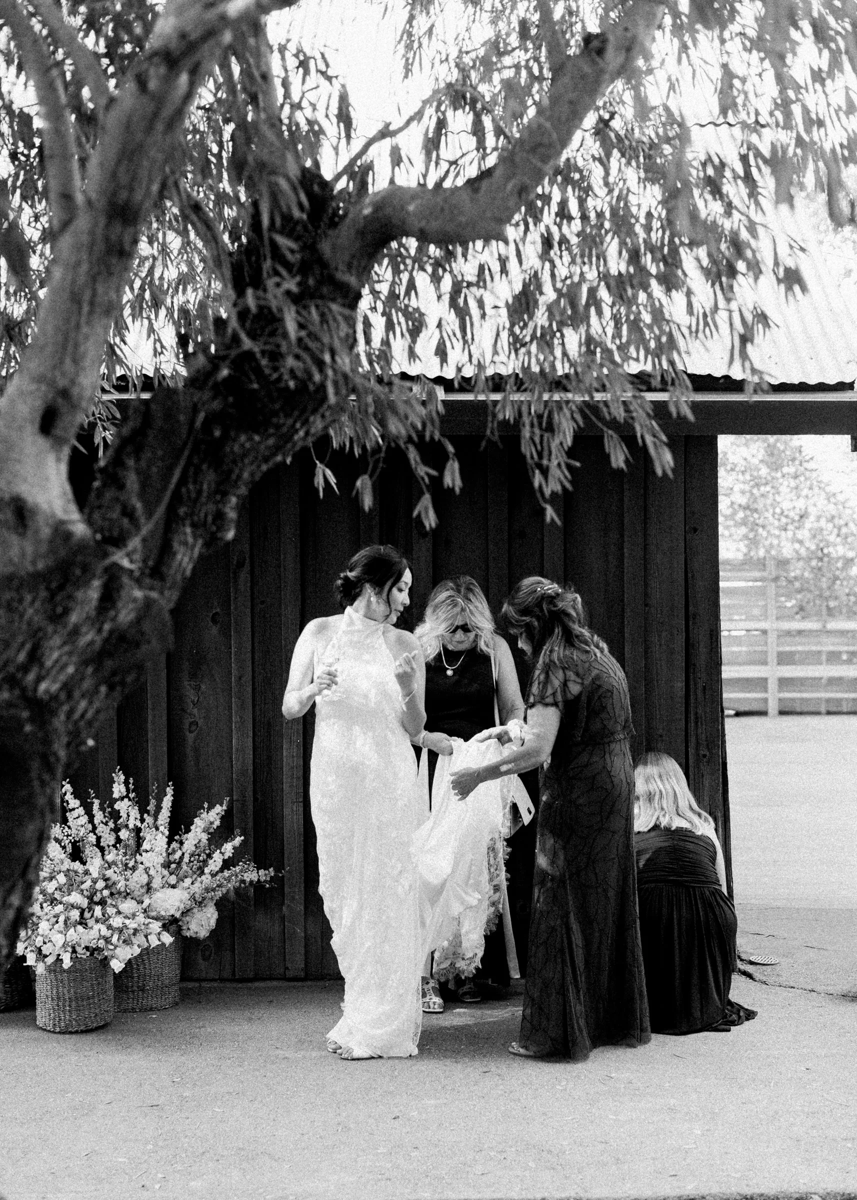 Alycia-Jasmine-Massey-San-Francisco-Wedding-Photographer-Ru's-Farm-Healdsburg-CA-30.jpg