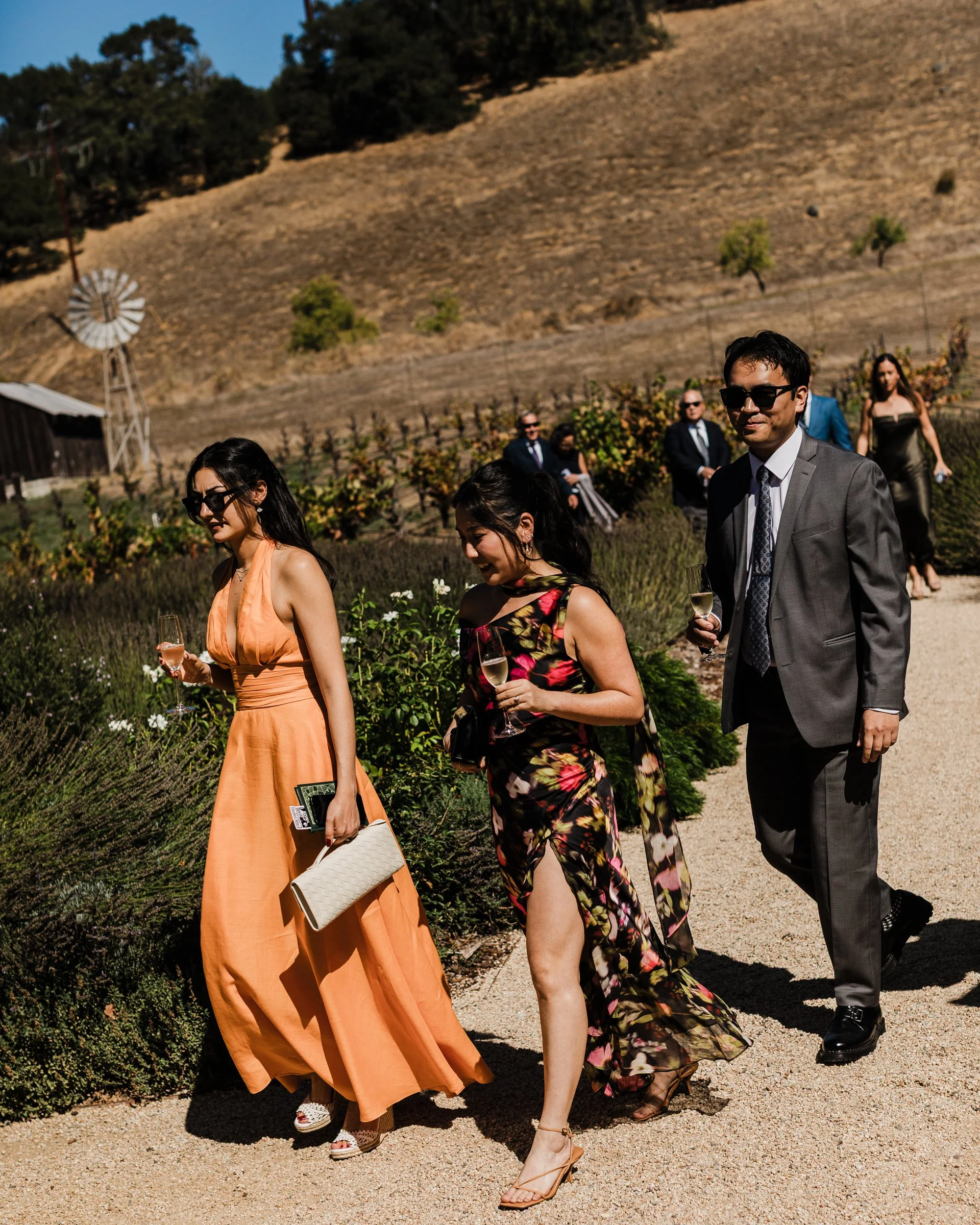 Alycia-Jasmine-Massey-San-Francisco-Wedding-Photographer-Ru's-Farm-Healdsburg-CA-18.jpg