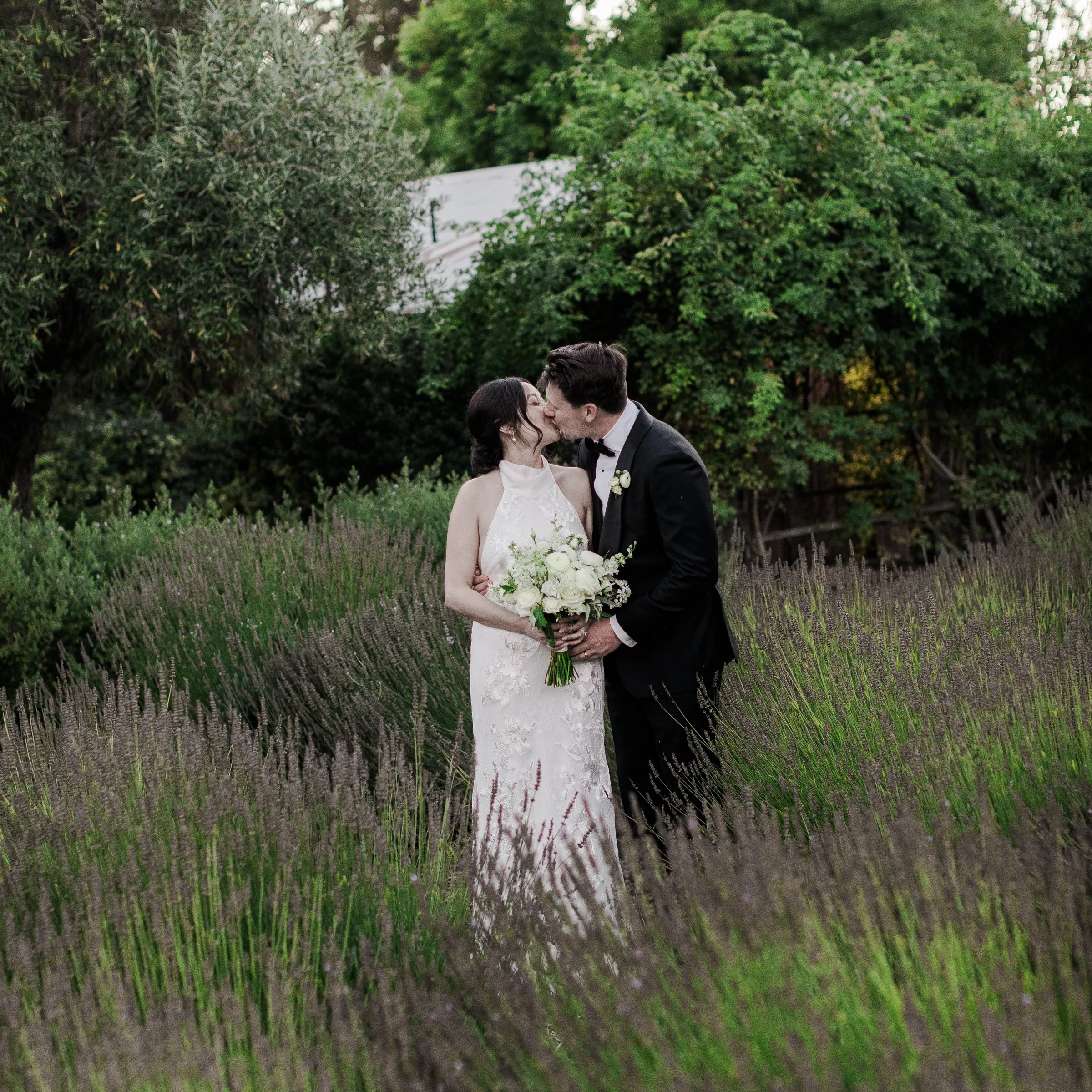 Alycia-Jasmine-Massey-San-Francisco-Wedding-Photographer-Ru's-Farm-Healdsburg-CA-72.jpg