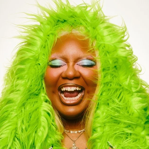 "The Quiet Parts Out Loud" - Aria Lanelle