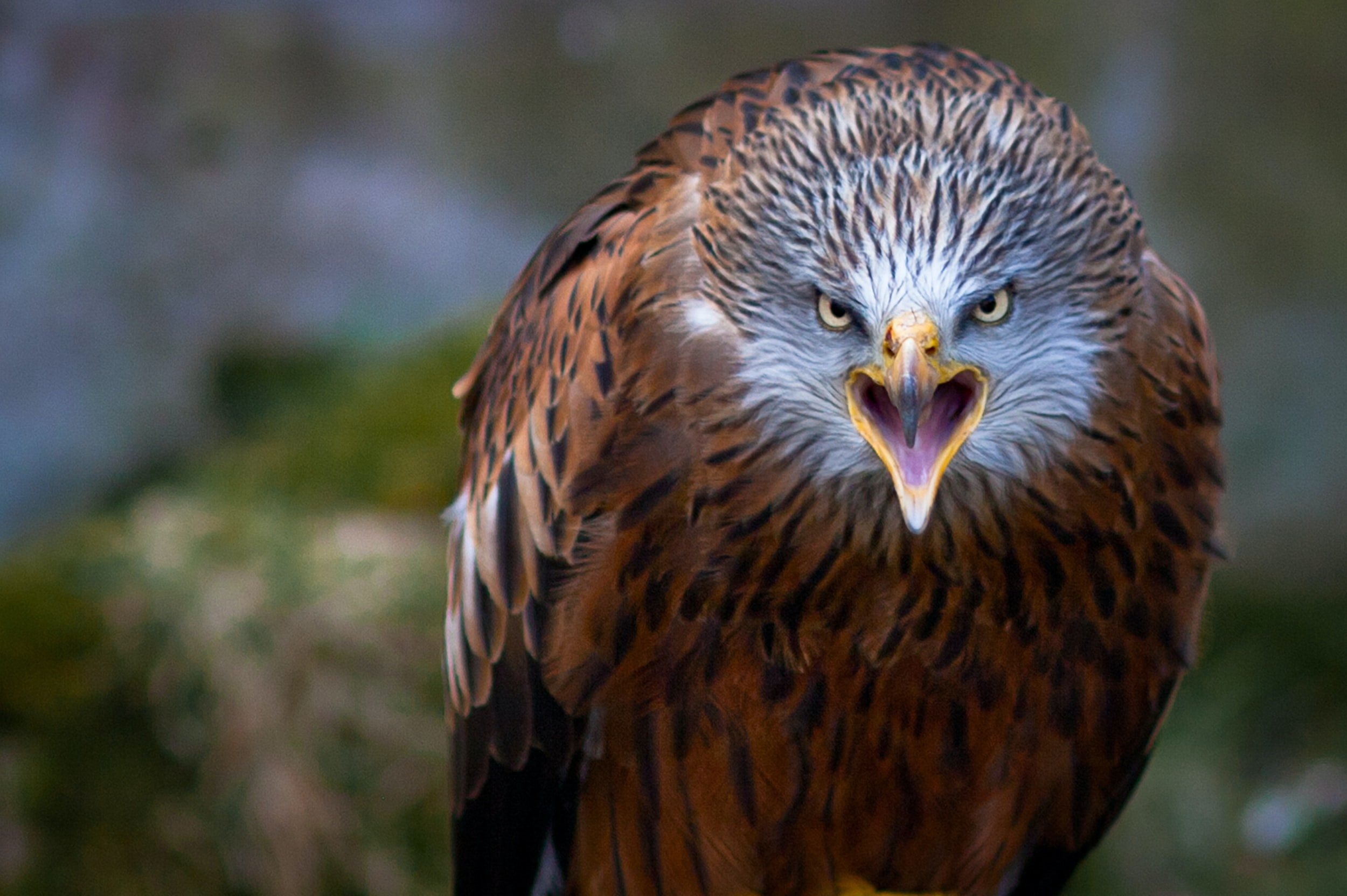 How to control your anger