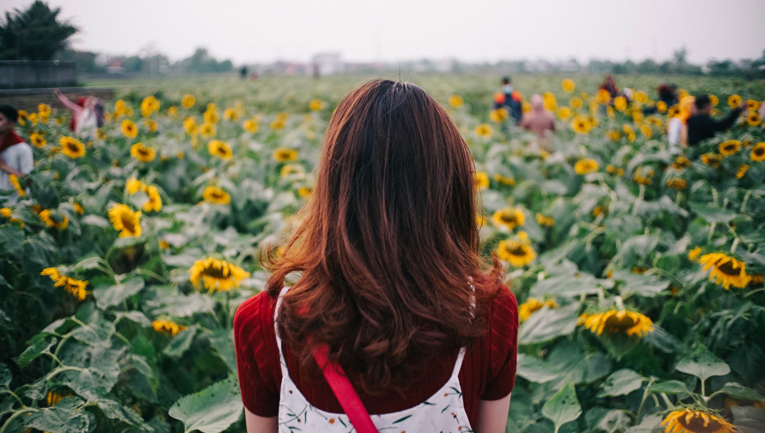 Purpose in life, according to psychology
