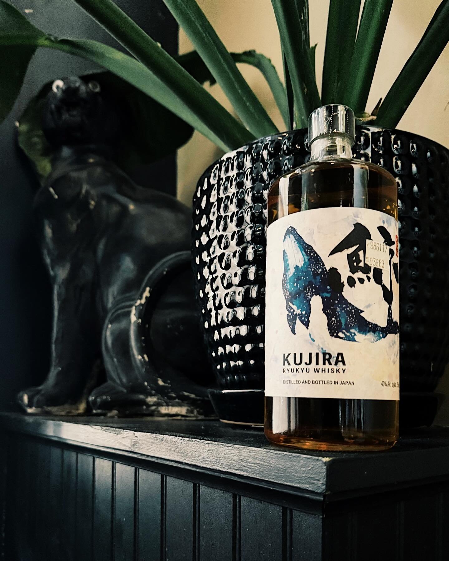 Kujira Ryukyu Whisky 🐋 

This week we have a really fun whisky coming your way for Malt Monday, and it might be a little bit of a stretch, but we&rsquo;re going with it anyway!

Kujira Ryukyu is a whisky coming from Japan, and I hope you&rsquo;ll no