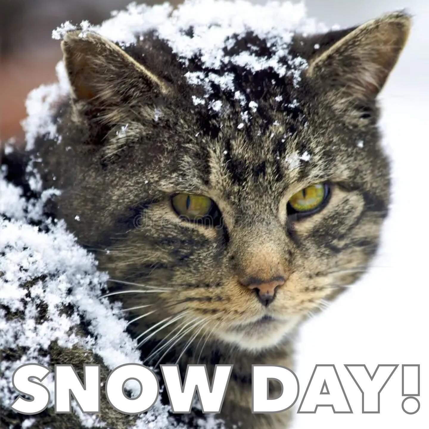 ❄️❄️☃️☃️🌨️🌨️
We are shutting it down tonight so our staff at @jasperbarrva and @emeraldloungerva can stay safe. We hope everyone has a safe Monday and enjoys the snow!