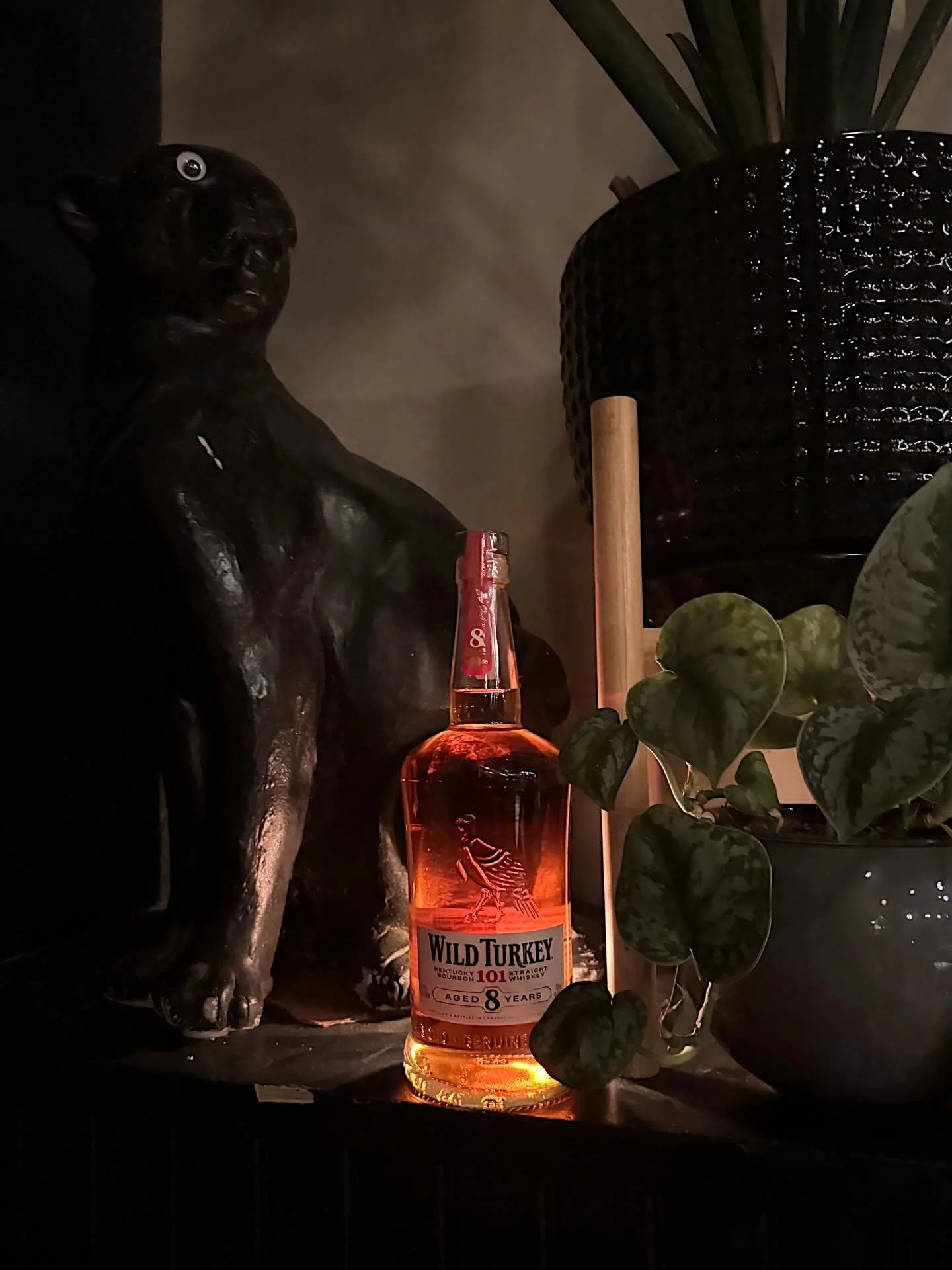 Wild Turkey 🦃 101 8 Year Bourbon

Hallelujah, Wild Turkey 8 year is gracing us with its presence at long last. All the way back in 1992, this age statement became an export only product, leaving the shelves of American liquor stores with regular, no