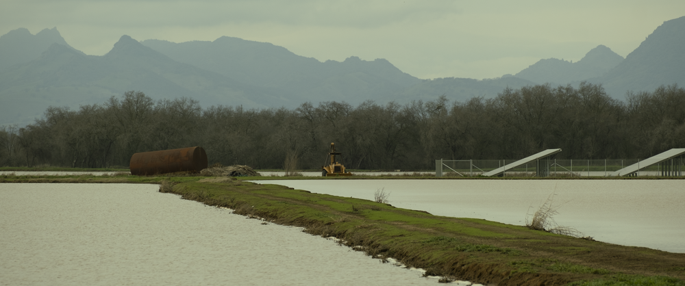 Photography by Andre Balmet
