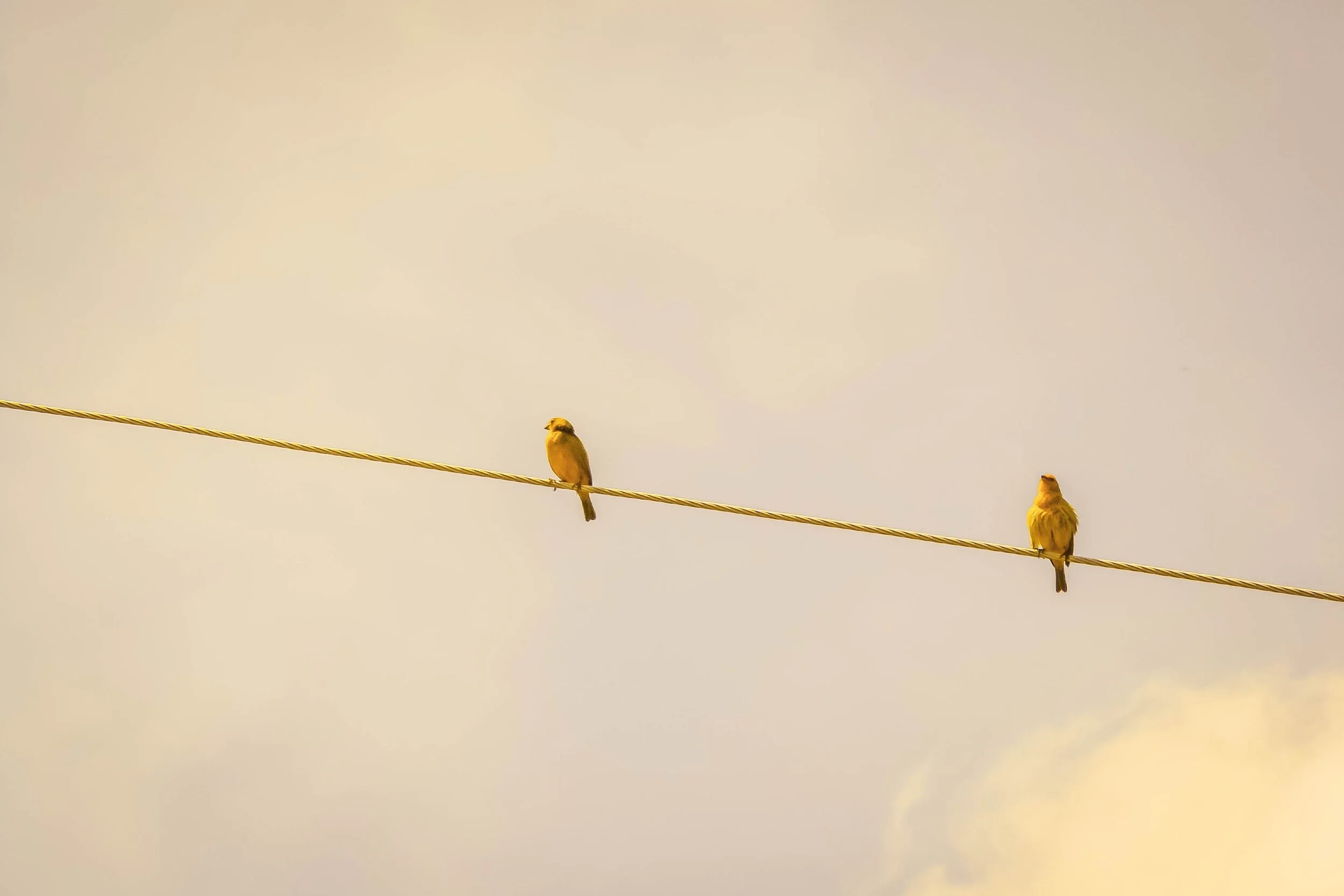 Two birds perched on a diagonal wire in the sky with some clouds.