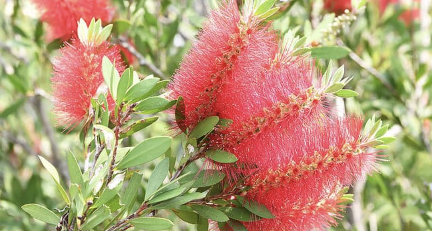 The value of debriefing