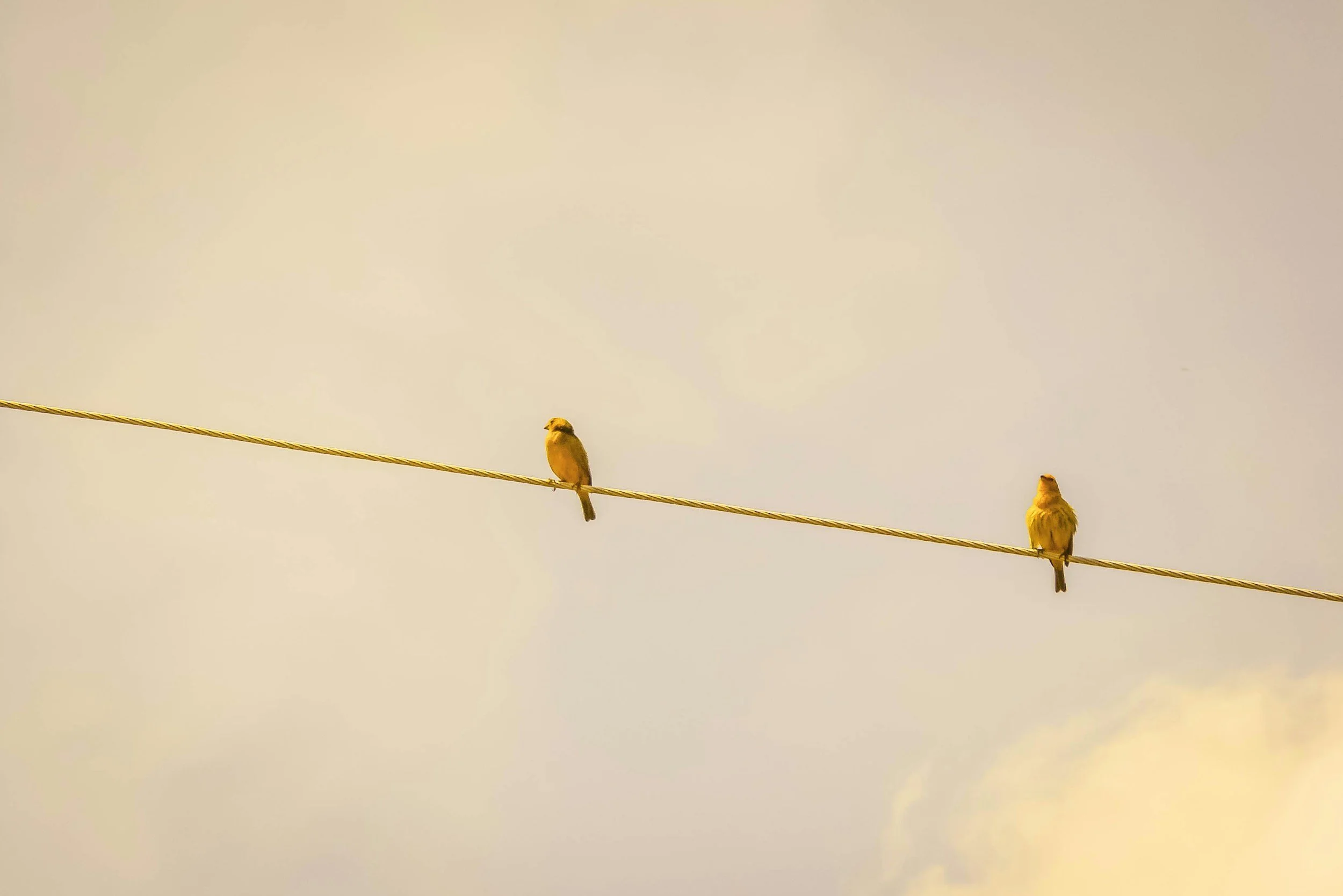 Workplace Bullying & Harassment: What It Is - and What helps prevent it.