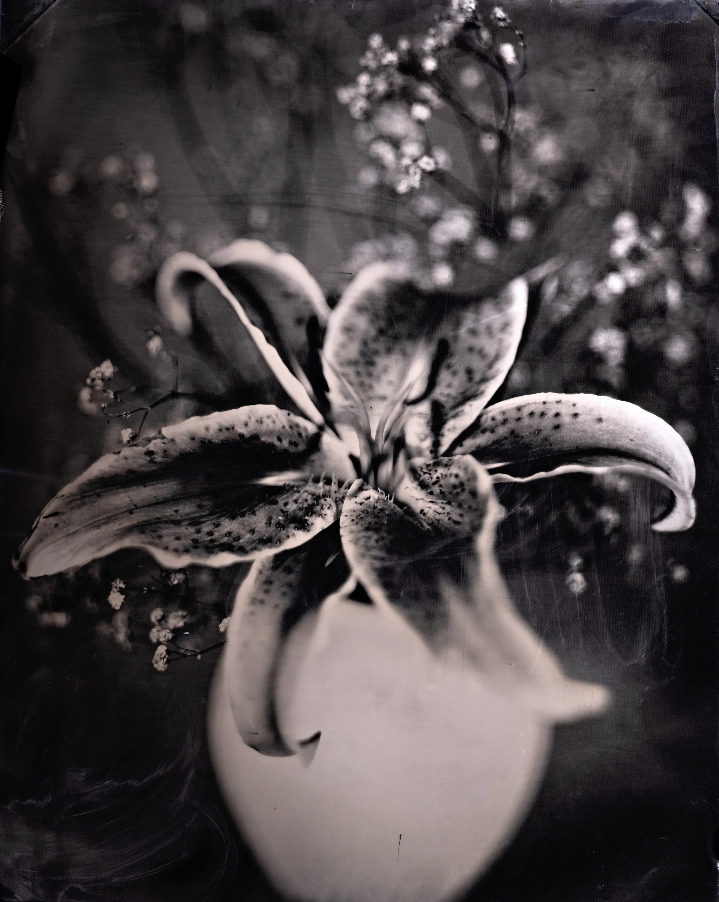 tin type, tintype, tin type photography near me, tintype photography denver, denver tintype