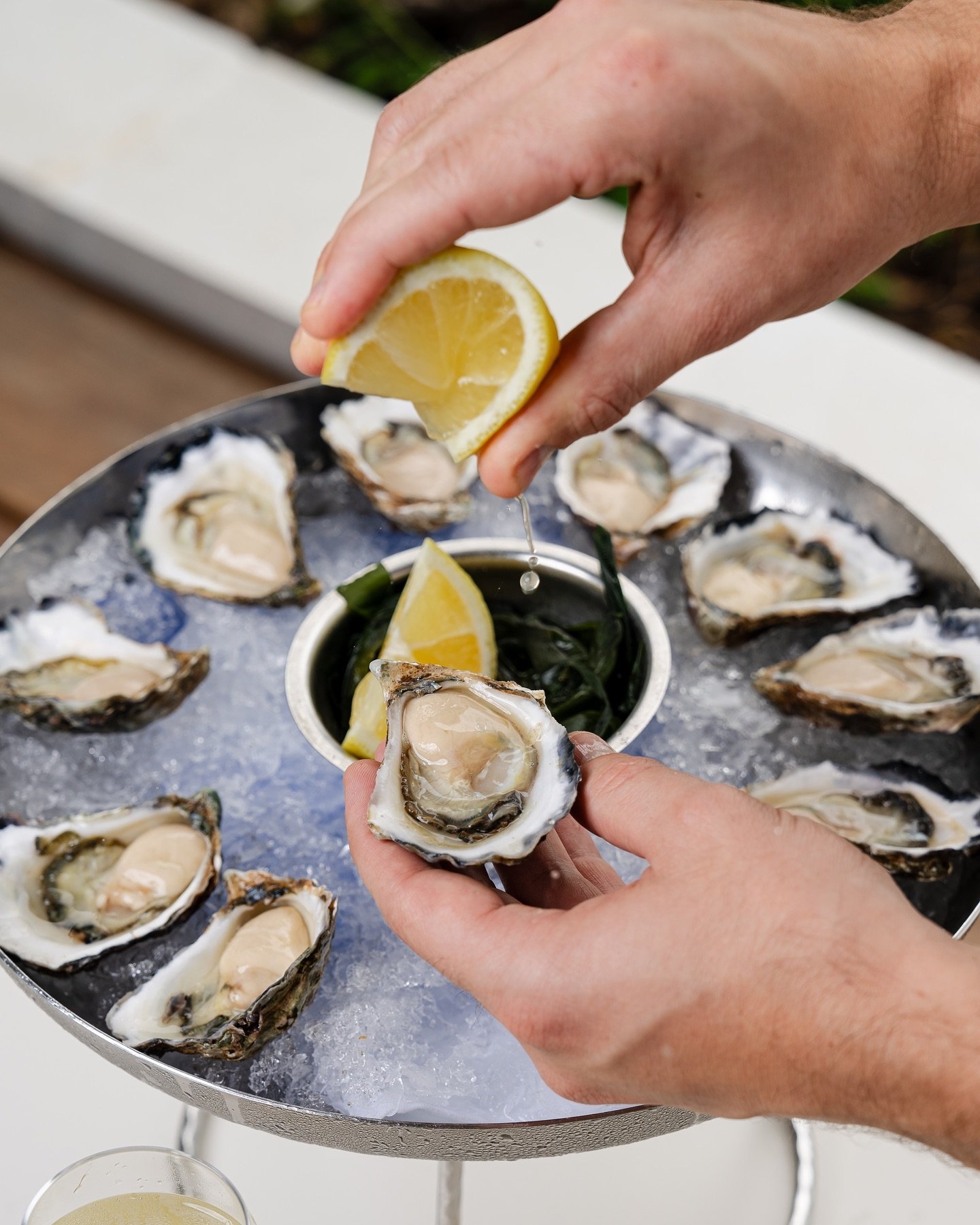 They don&rsquo;t get any fresher 🦪

Every Monday enjoy freshly shucked oysters next door at Fosh Tails for $3 each ~ part of our daily Catch of the Day deals available Monday to Thursday. 

www.foshportside.com.au/bookings for reservations or call u