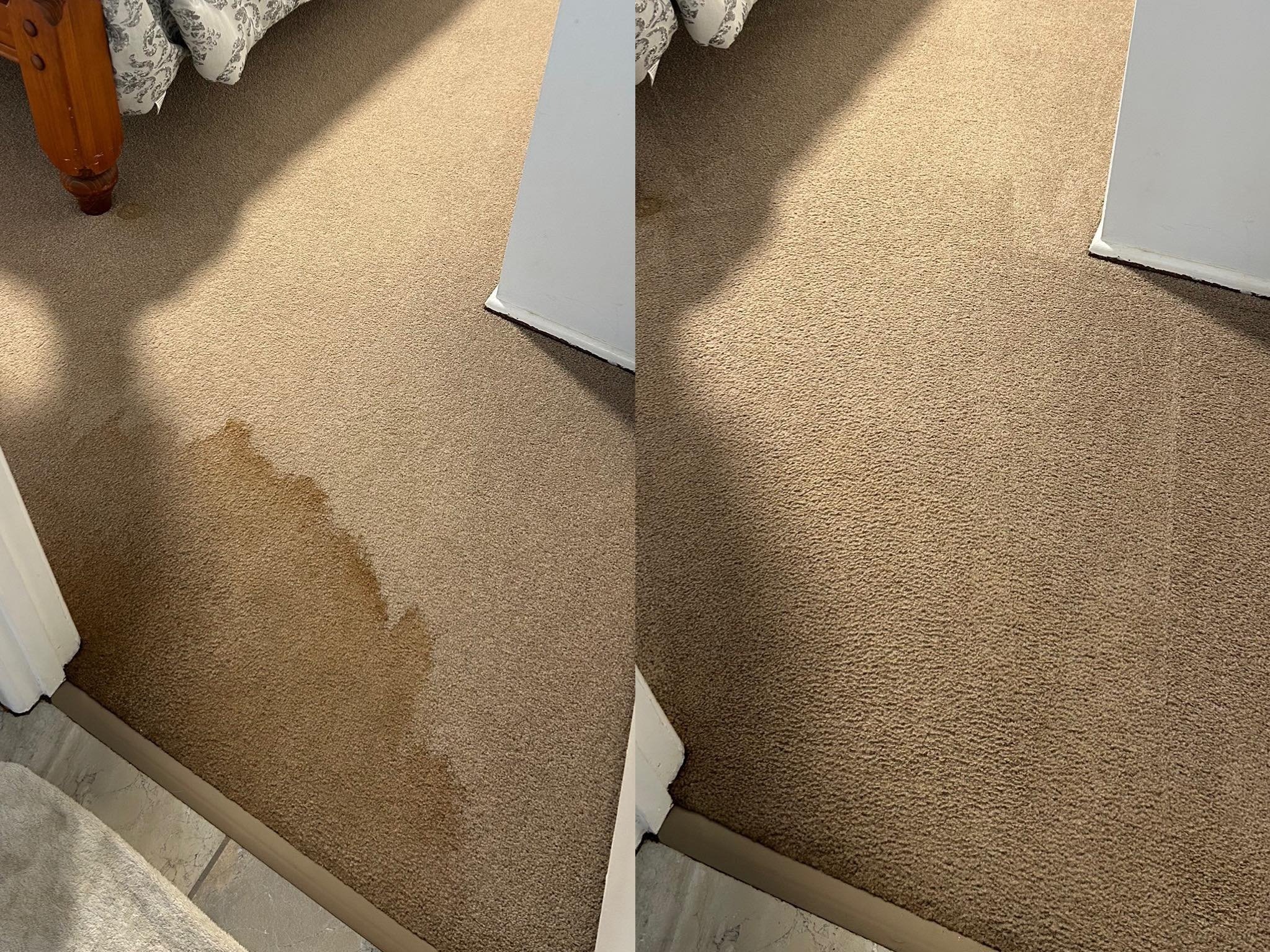 Coastal Tile and Carpet Cleaning Solutions