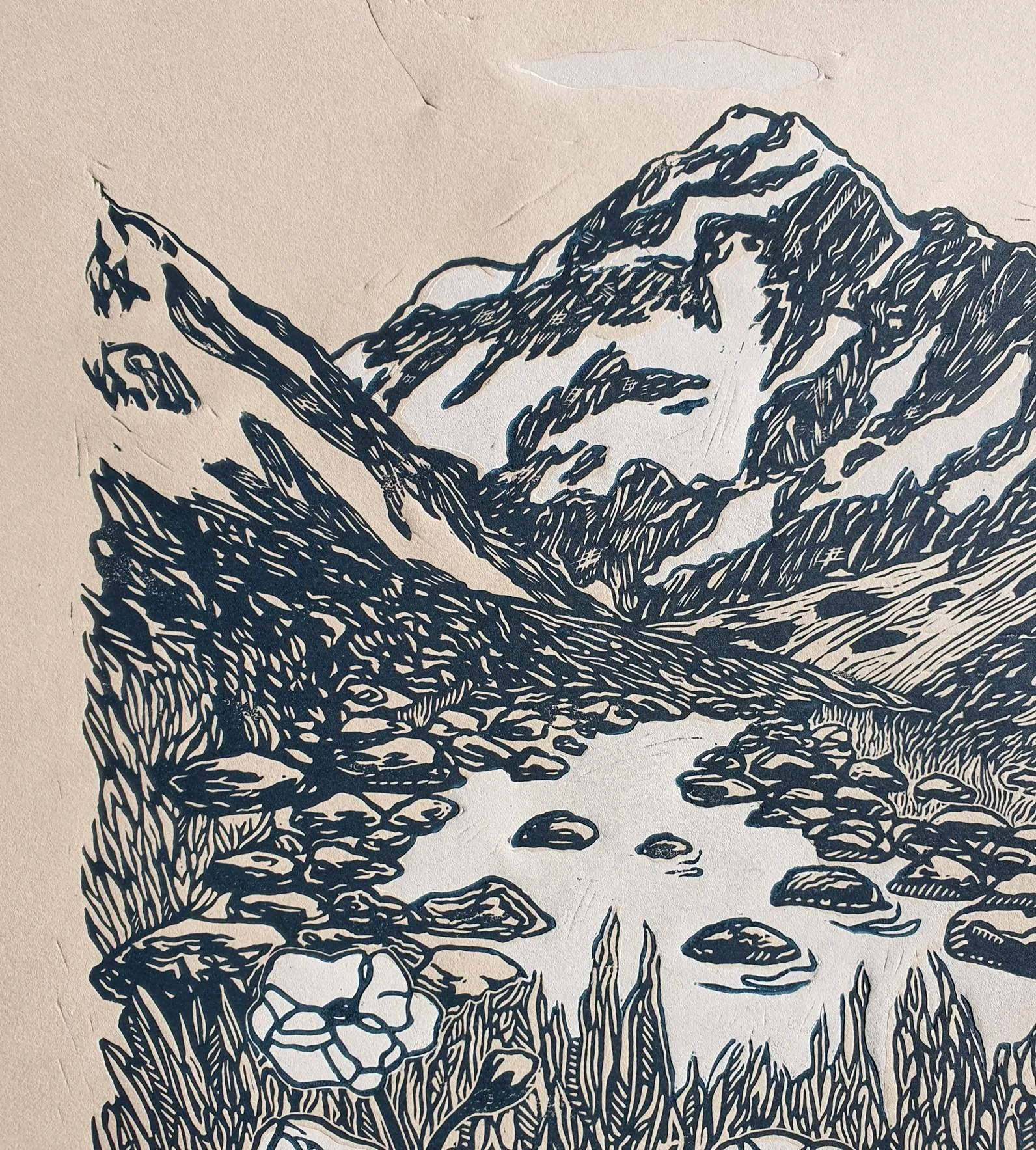 x (2).jpg