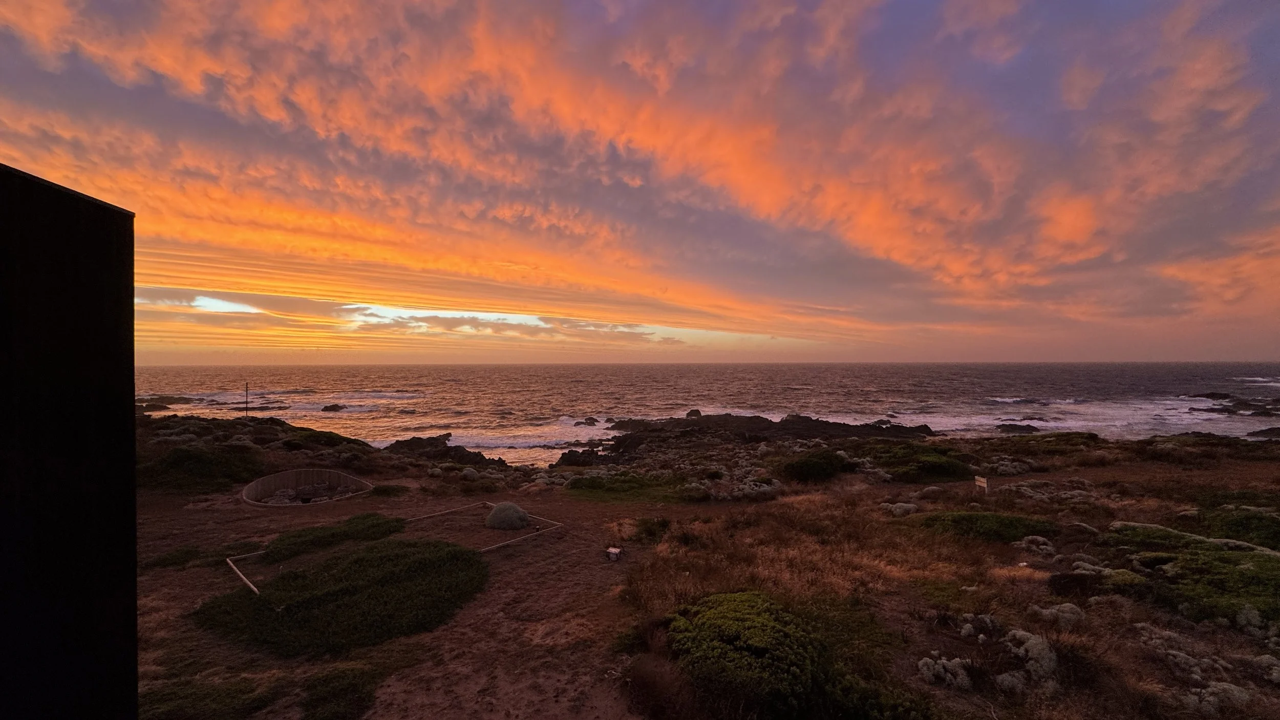 FullSizeRender 3.JPG