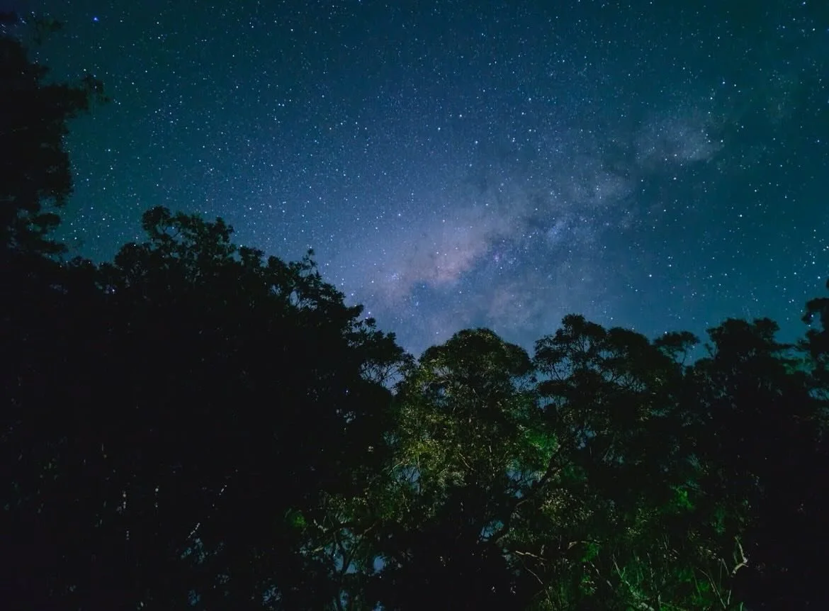 Clear Sky alert🚨 
Last spots available this evening 7pm and 9pm, and this long weekend 💫 We&rsquo;re open Monday! 
Come see Saturn, the Moon, stars clusters with us 🪐 

Camera 📸 Honey Davies