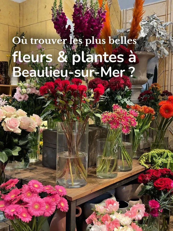 &Agrave; Beaulieu-sur-Mer, deux adresses font le bonheur des amoureux de fleurs et de plantes !

 🌿 Jardinerie &agrave; la Sainte Catherine

Sur le boulevard Marinoni, la Jardinerie &agrave; la Sainte Catherine est une v&eacute;ritable institution l