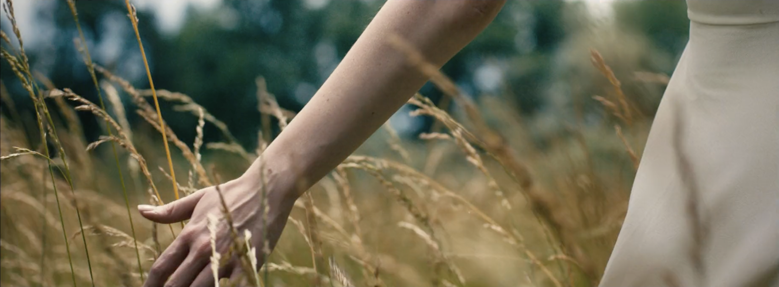 Captura de pantalla 2025-07-14 a las 4.49.37 p. m..png