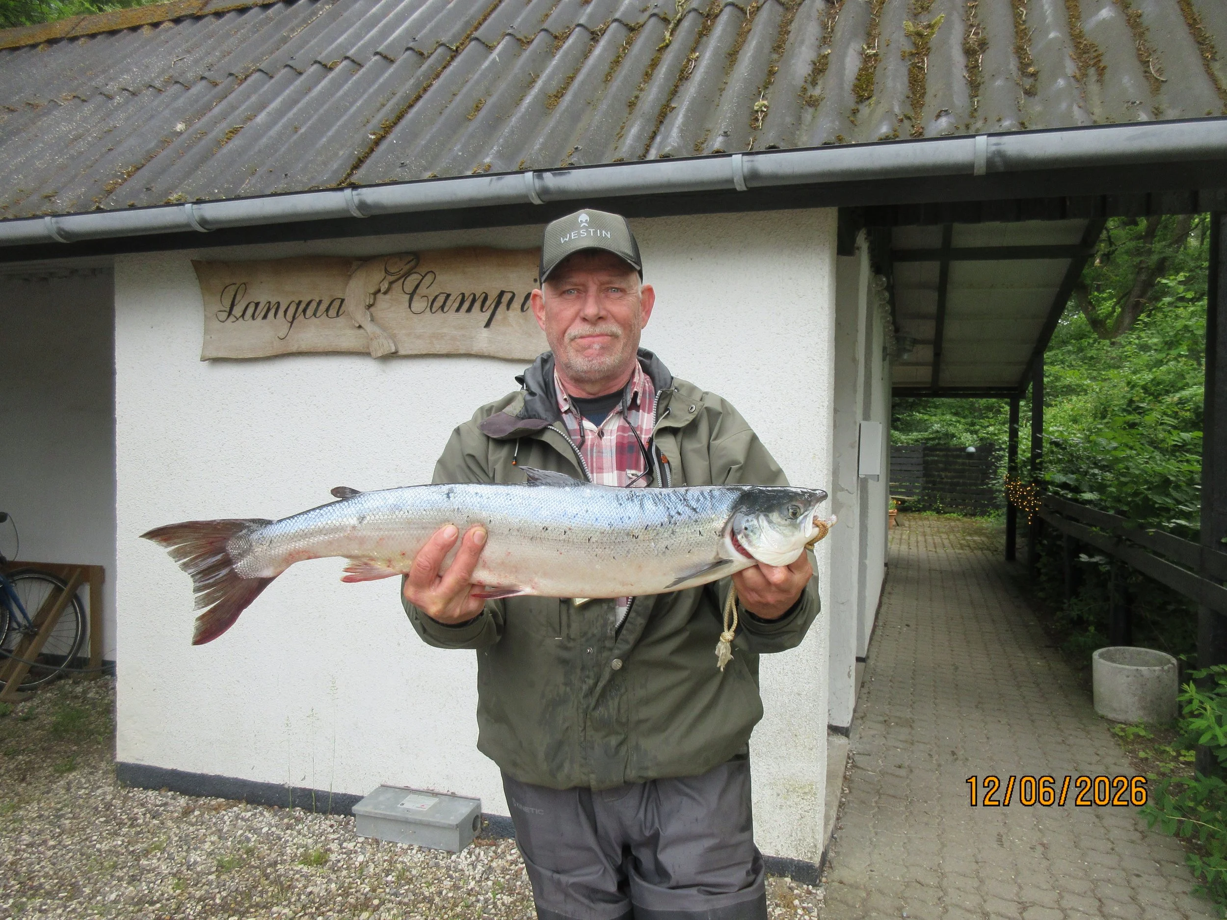 12.06.26 - John Salling, Laks på gul zone 
3,55 kg og 78 cm. 
Den er fanget på spinner.