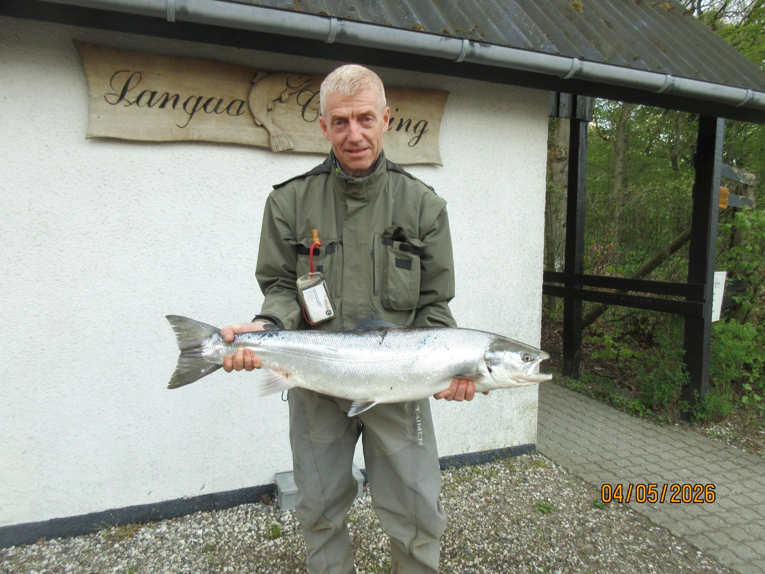 May 4, 2026: Johnny Nielsen caught a 7.3 kg, 91 cm salmon. It was caught on a spinner in Zone 4, Bjerringbro.