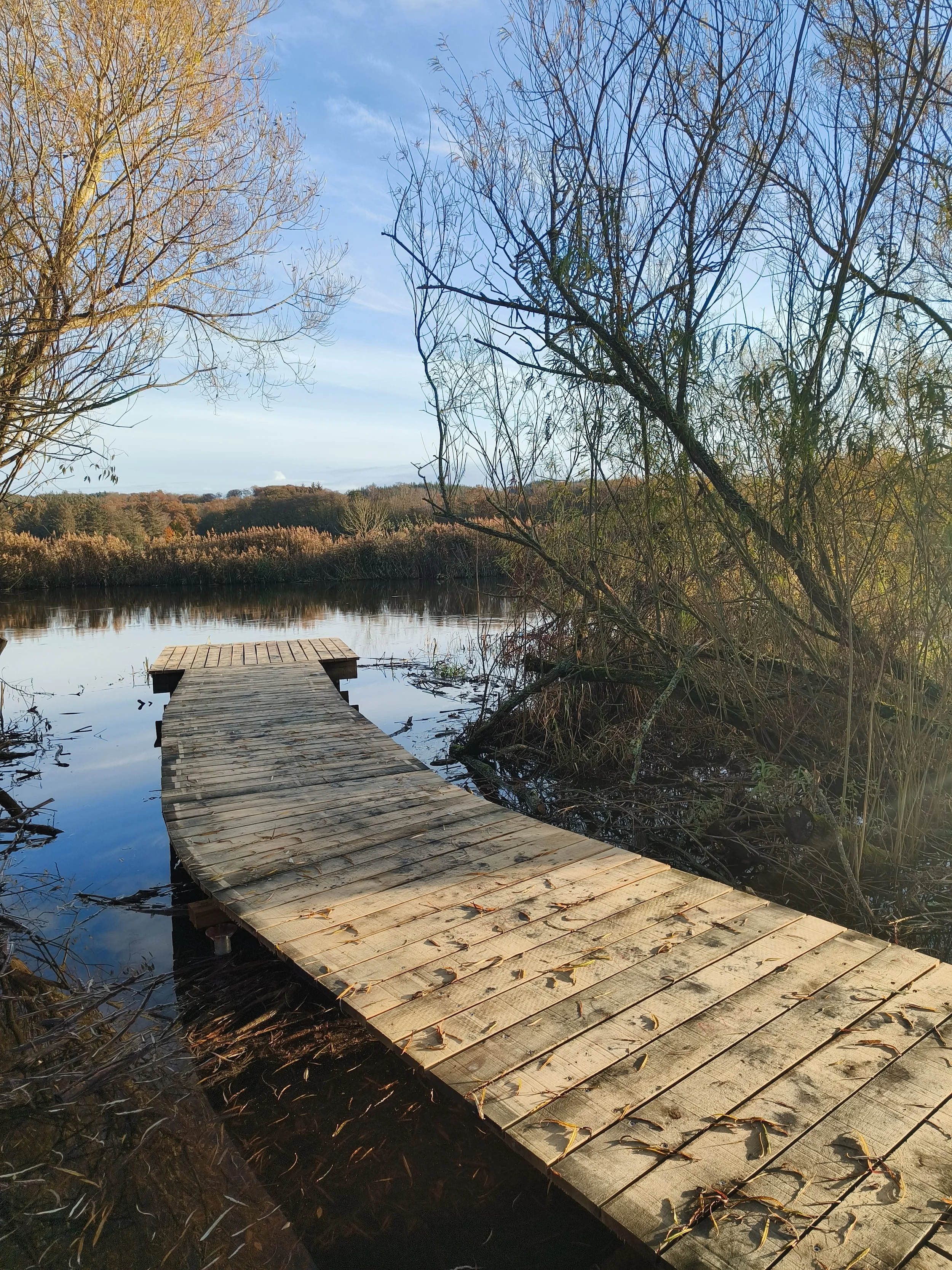 IMG20251102150957.jpg
