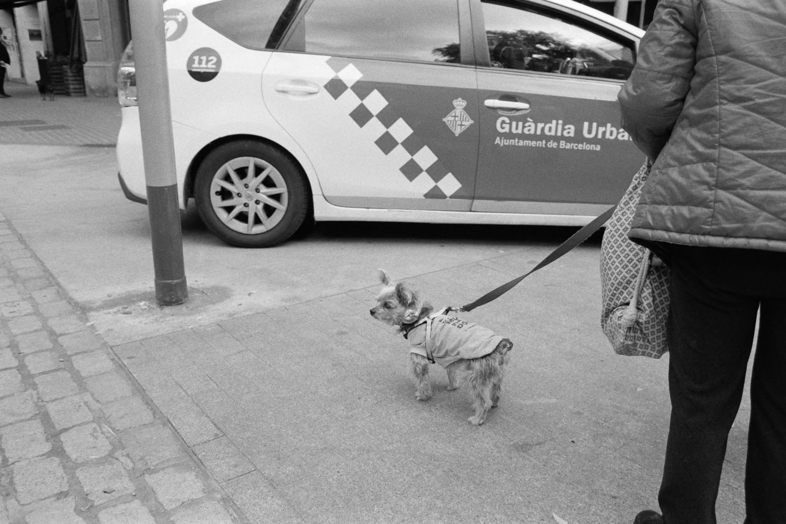 Sant Antoni 34.jpg