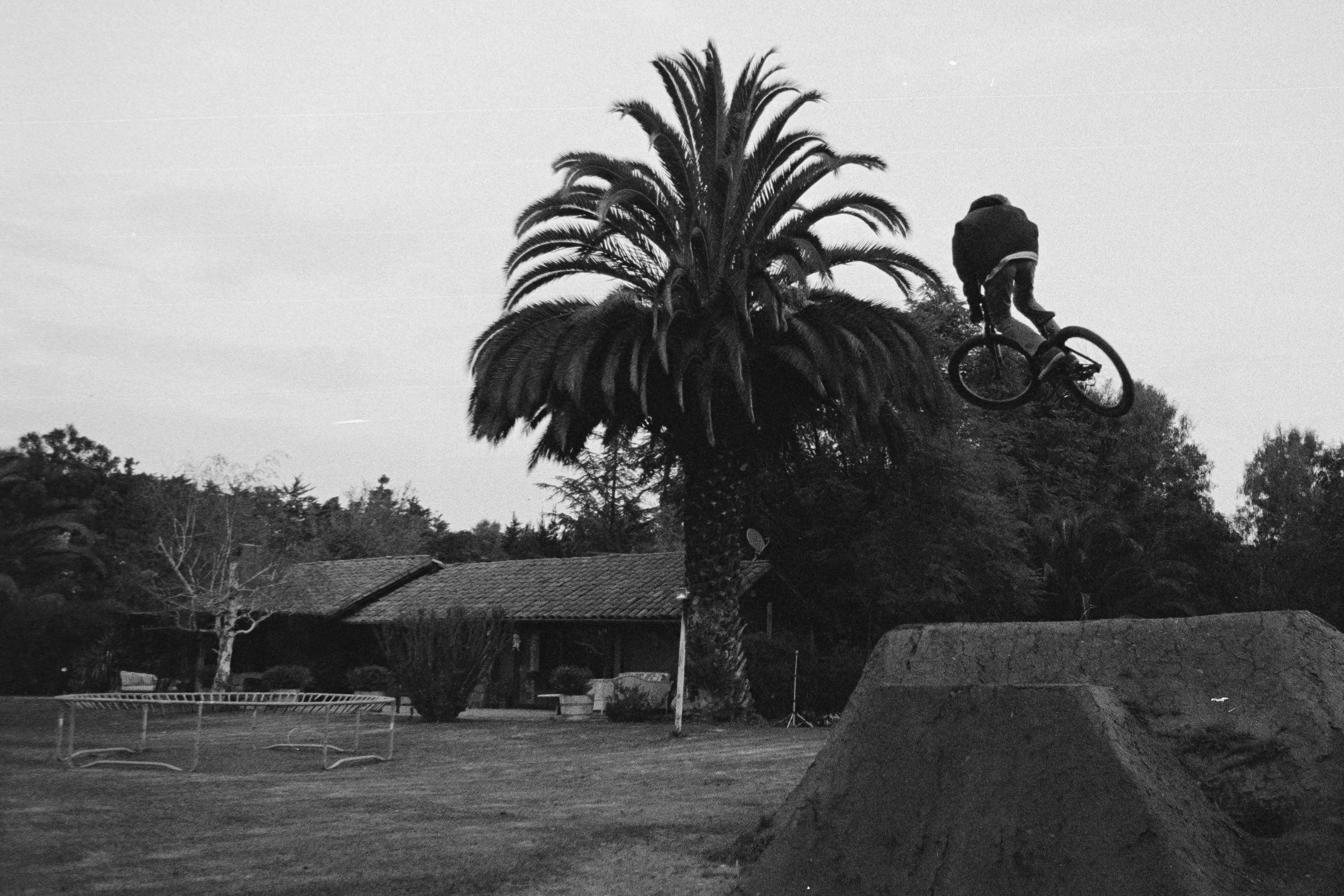 Francos Backyard1.jpg