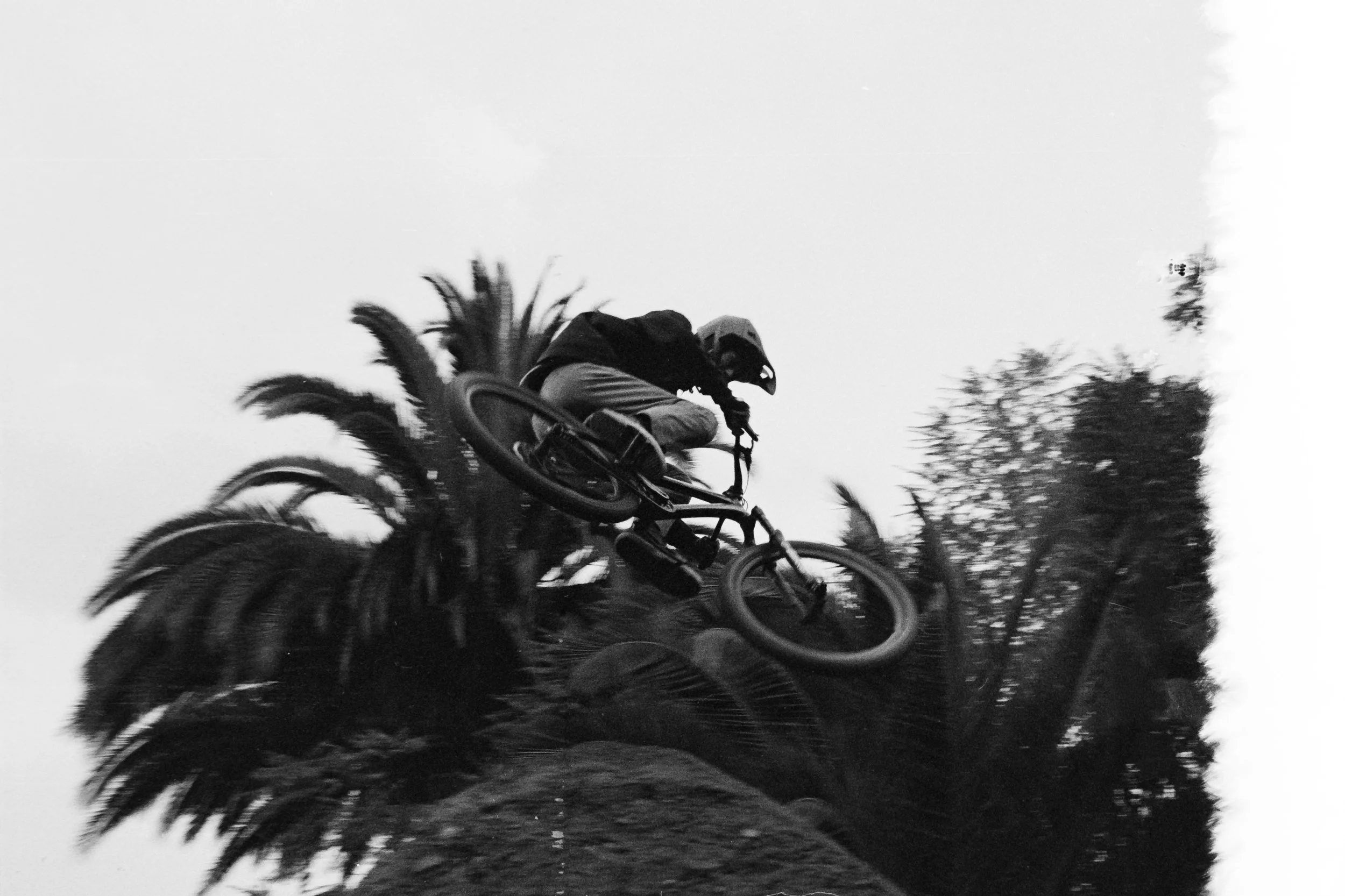 Francos Backyard6.jpg