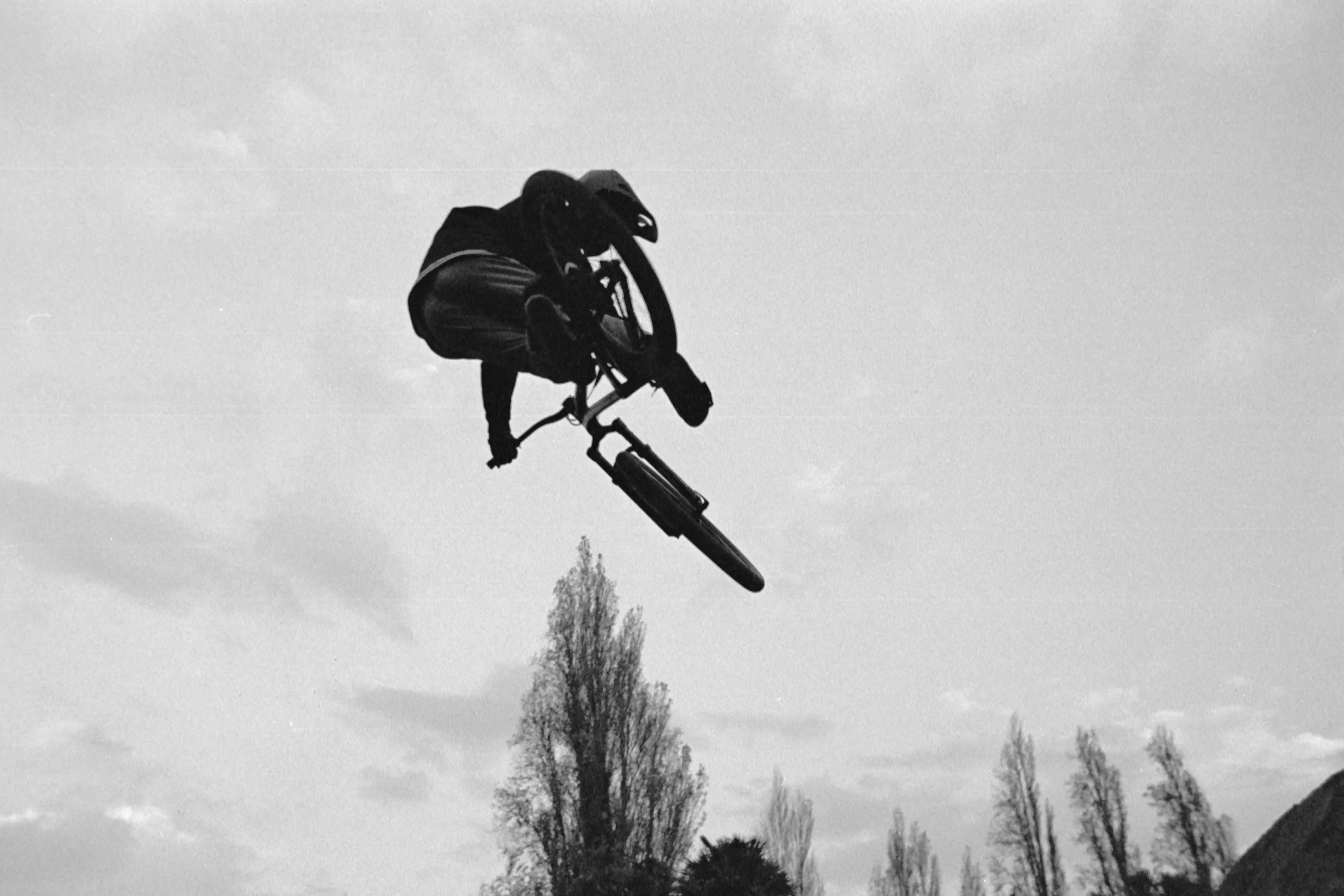 Francos Backyard3.jpg