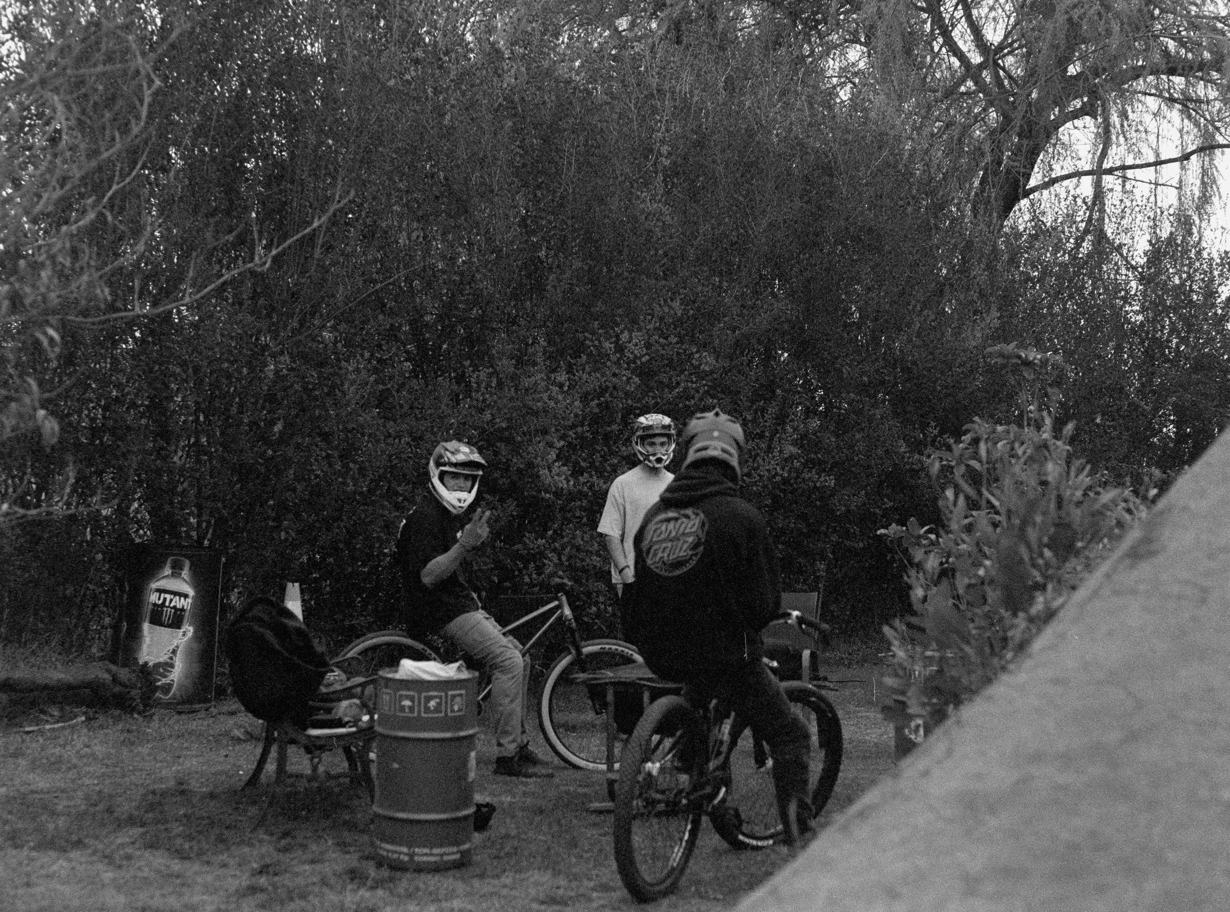 Francos Backyard12.jpg