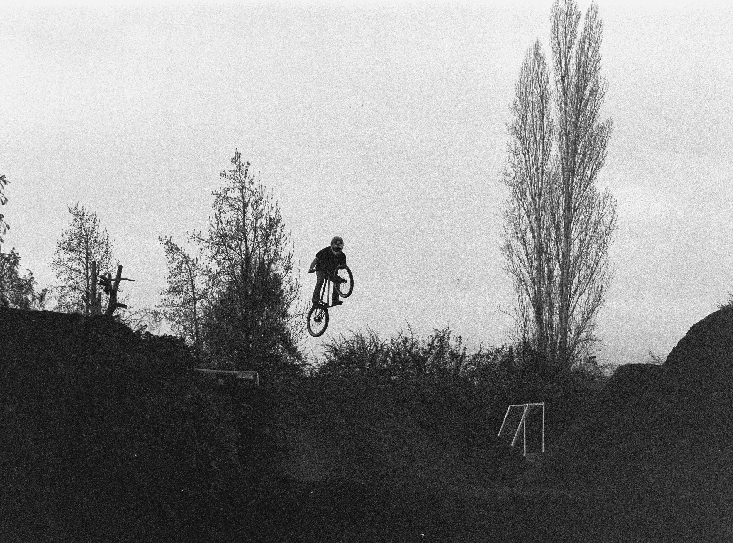 Francos Backyard10.jpg