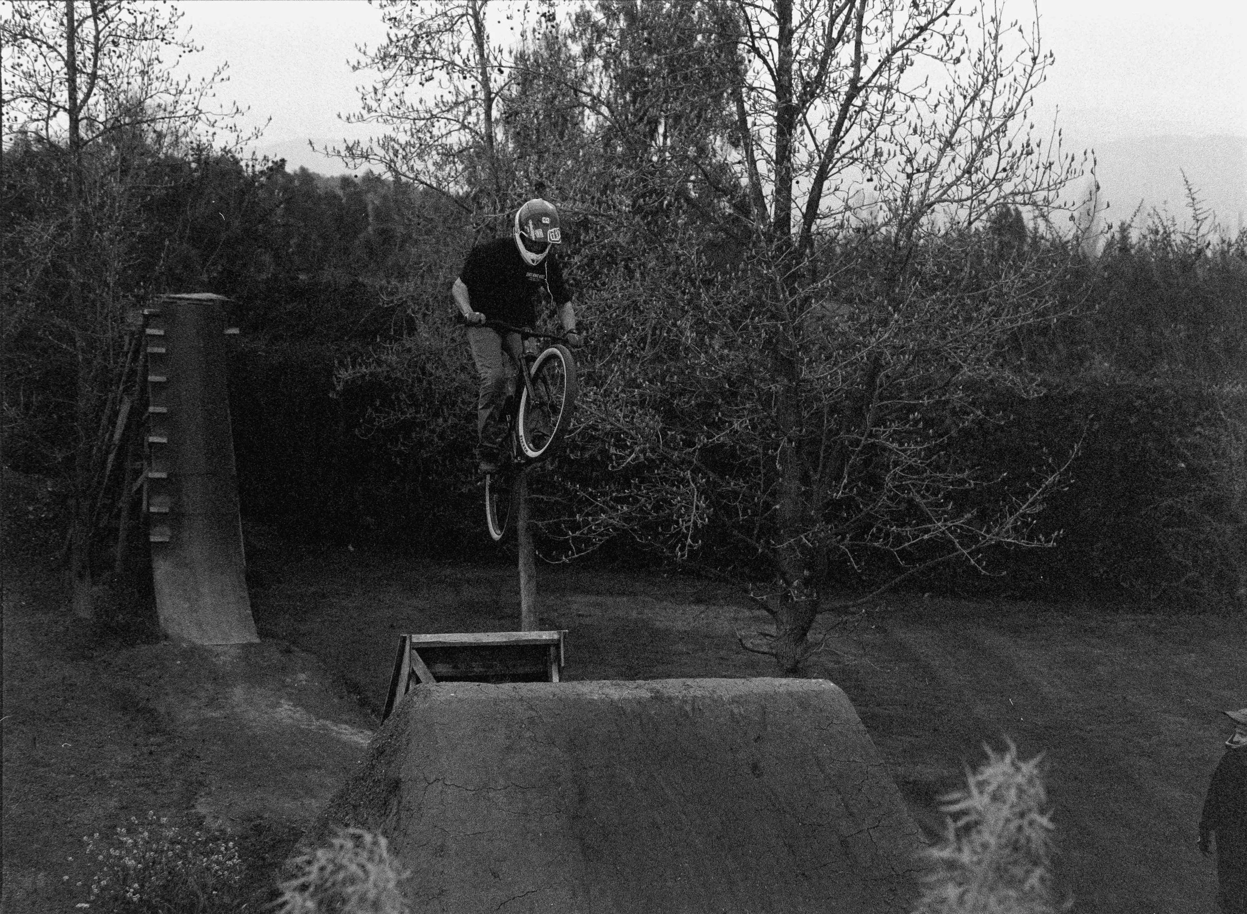 Francos Backyard9.jpg