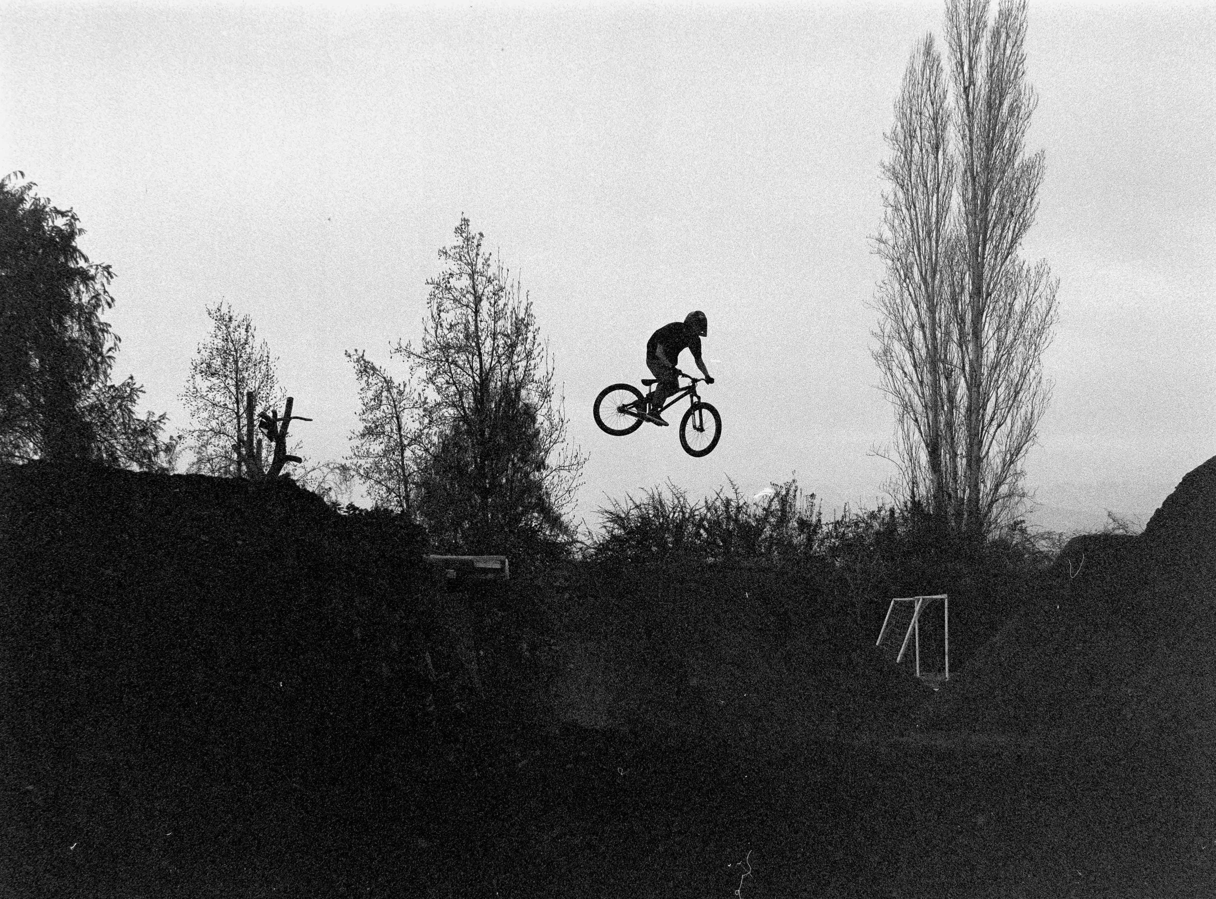 Francos Backyard11.jpg