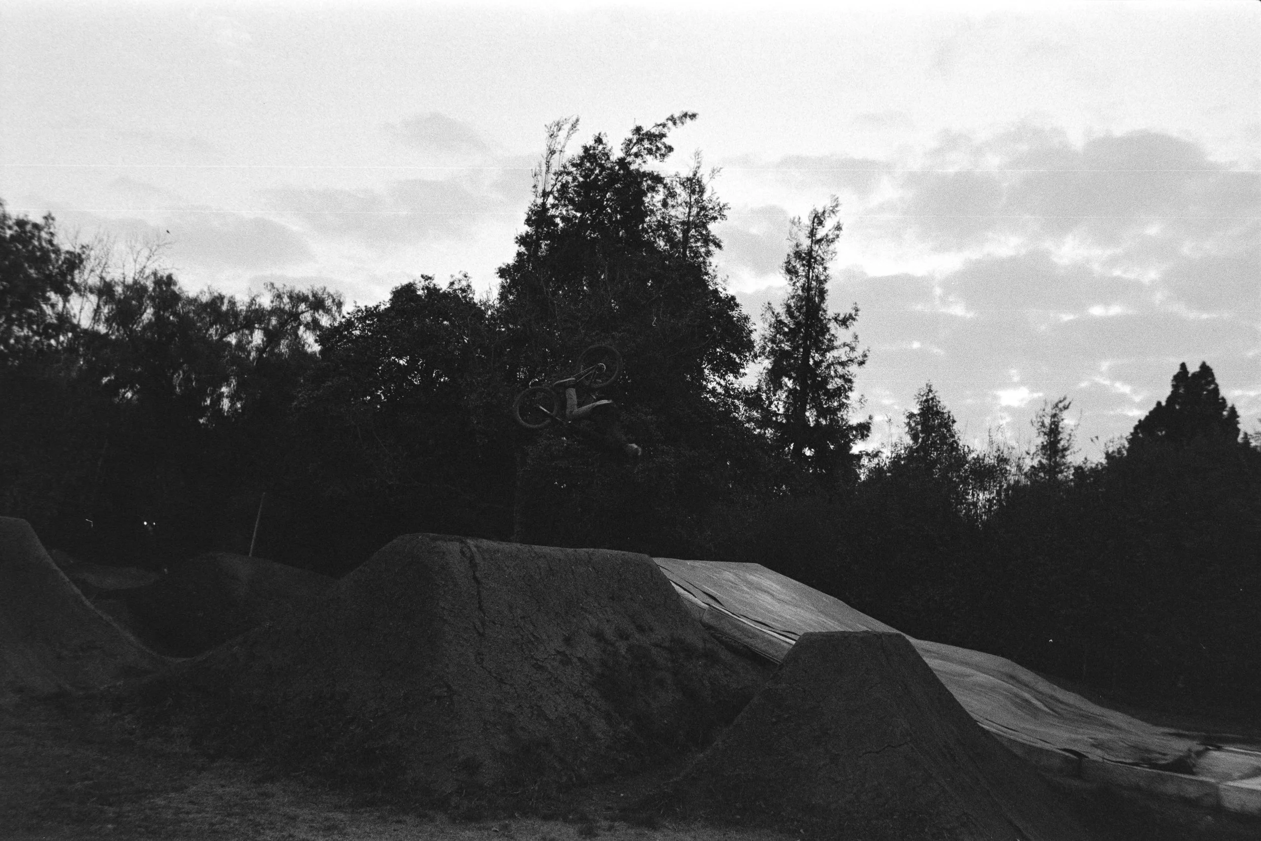 Francos Backyard4.jpg