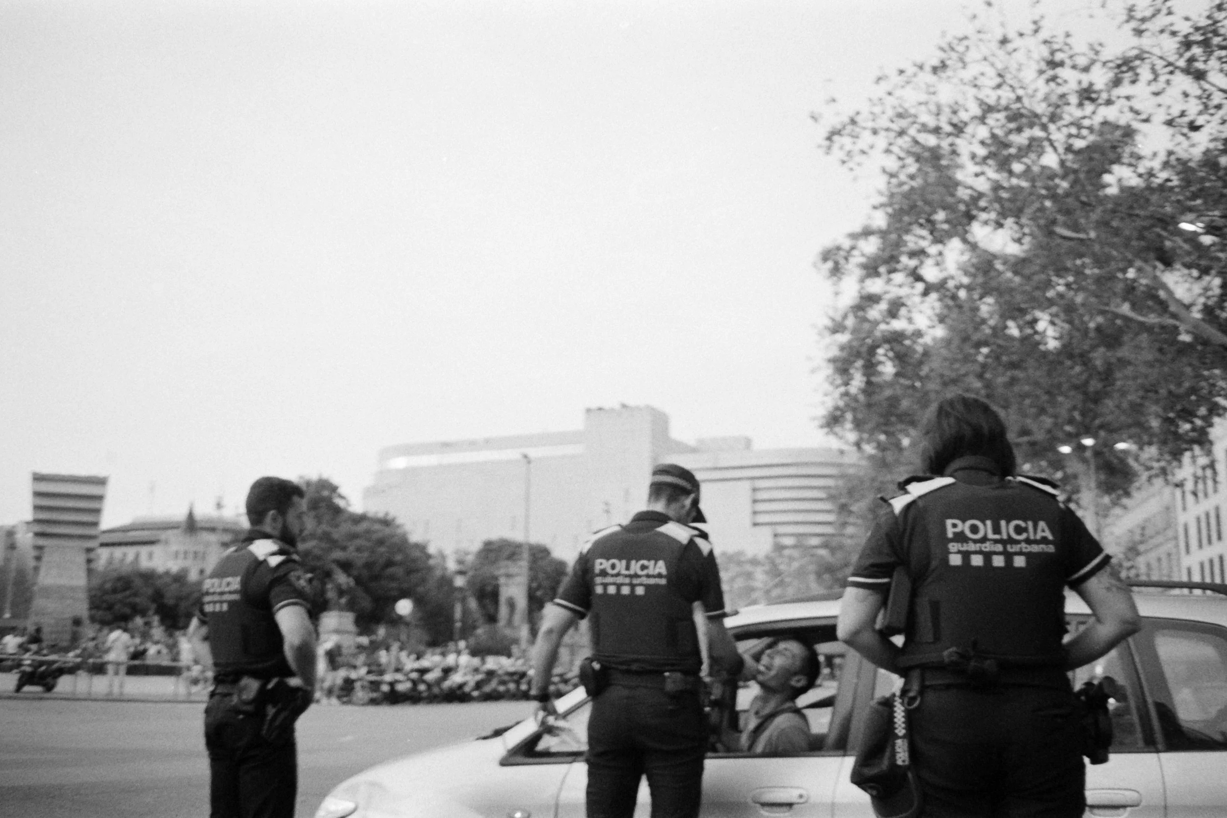 _DSF4498.jpg