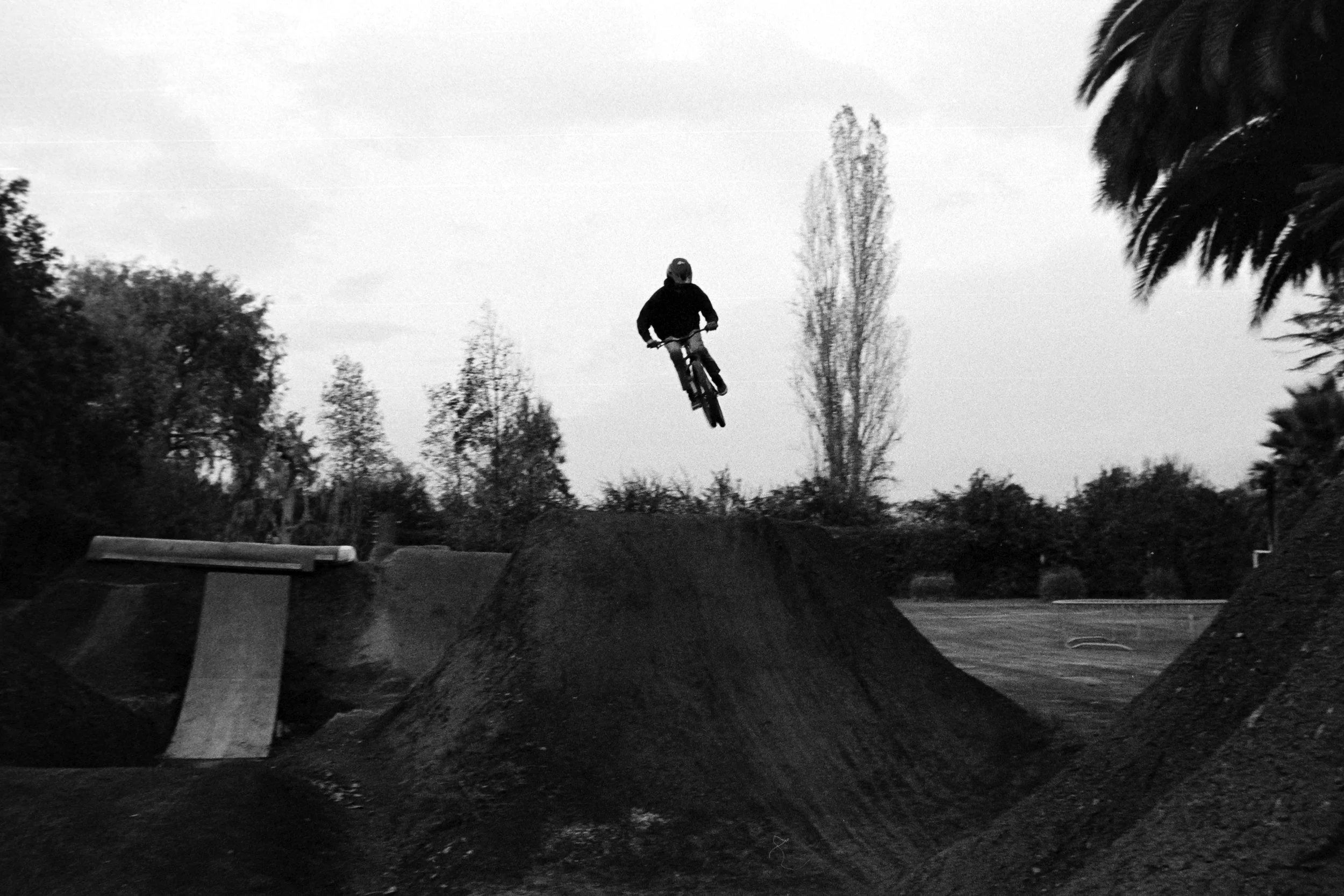 Francos Backyard5.jpg